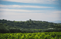 Clos San Giovanni