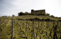 Domaine Vini di Vienna