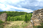 Domaine Niero