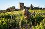 Domaine di Beaurenard
