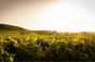 Paul Jaboulet Aîné Estates