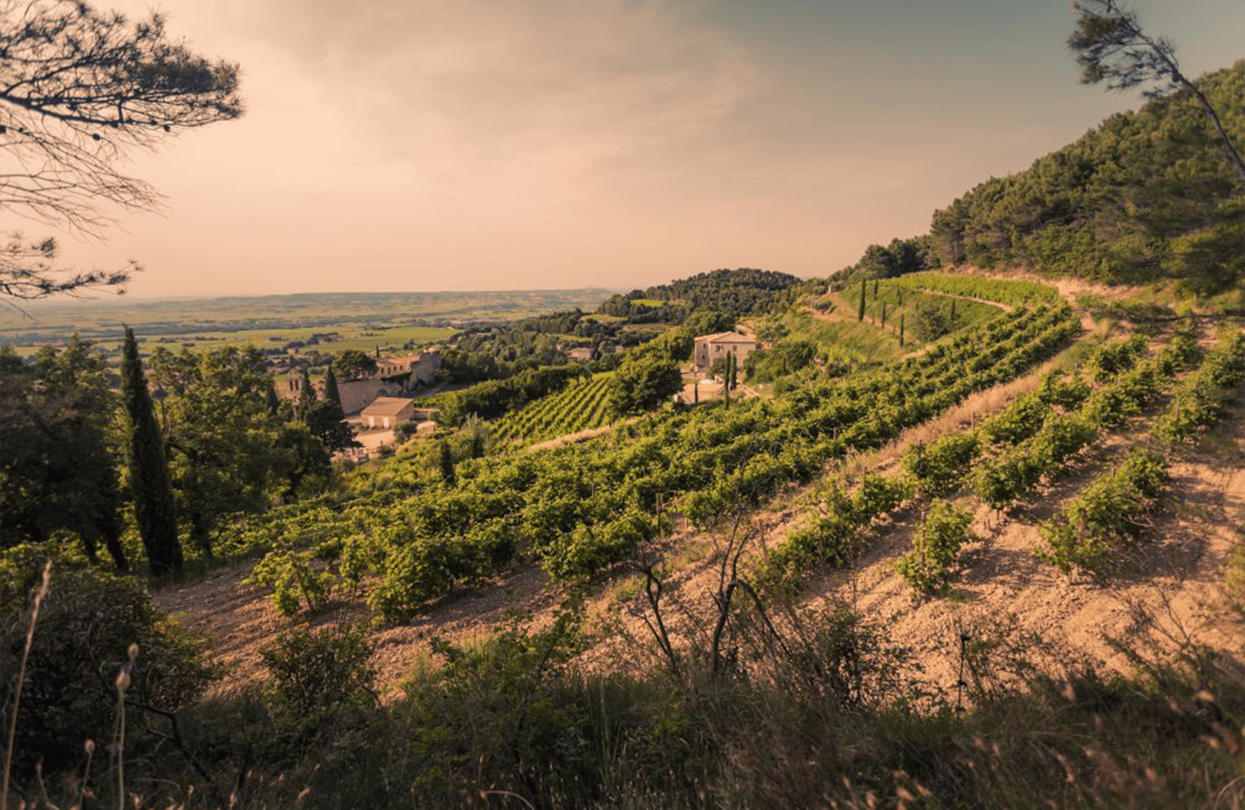 Domaine Santa Duc