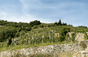 Domaine Alain Voge