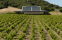 Vigneti di Ridge