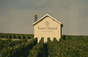 Champagne Veuve Clicquot