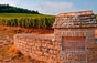 Domaine Conte di Vogüé