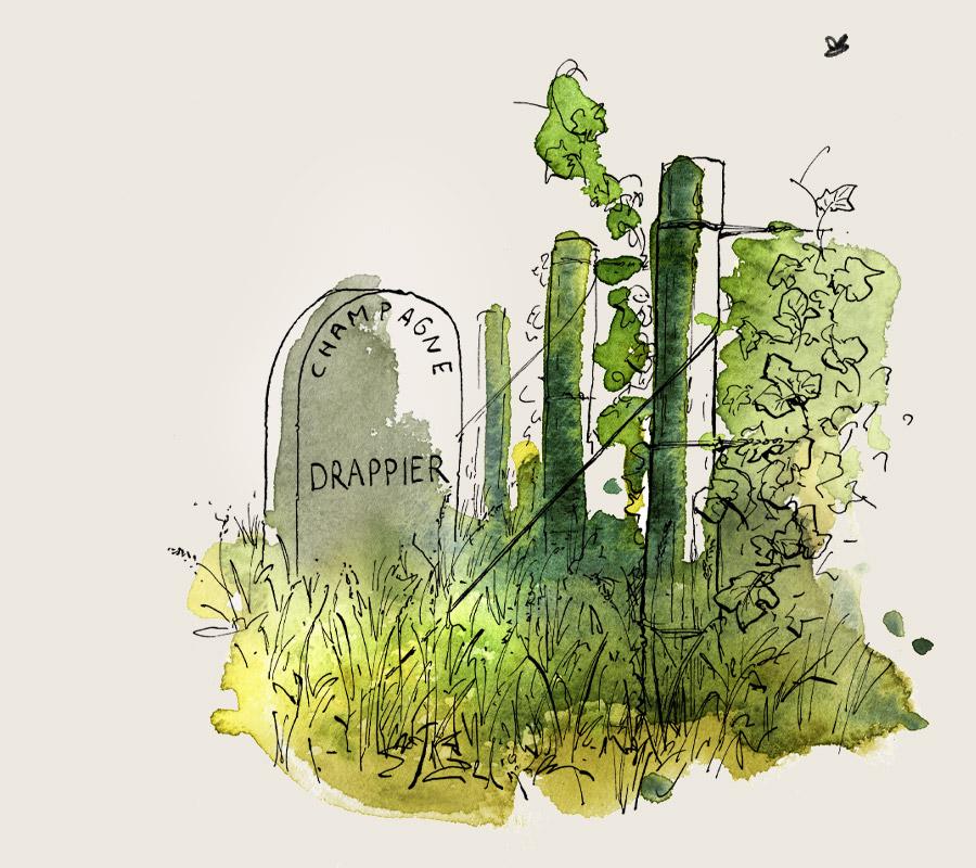 la storia di Champagne Drappier