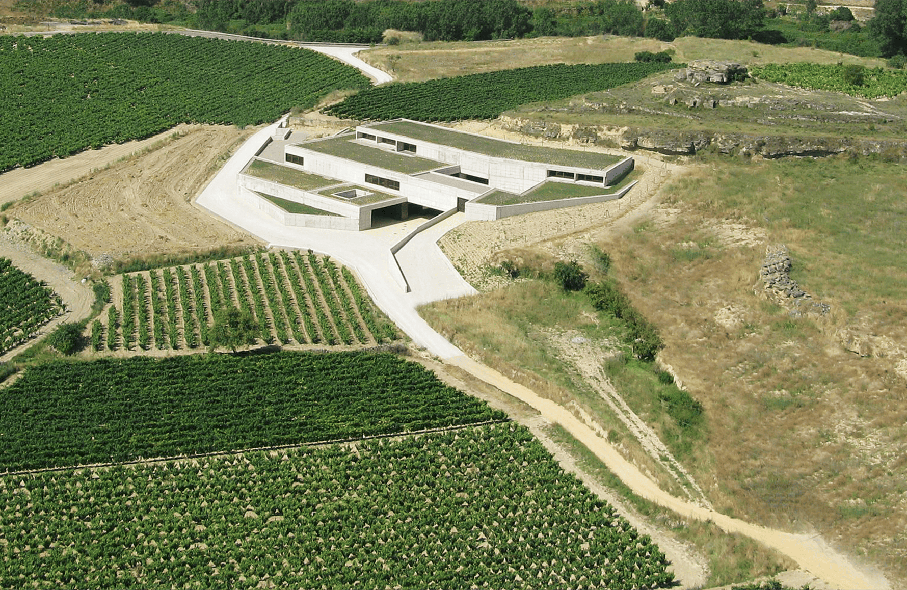 la storia di Bodega Contador - Spagna