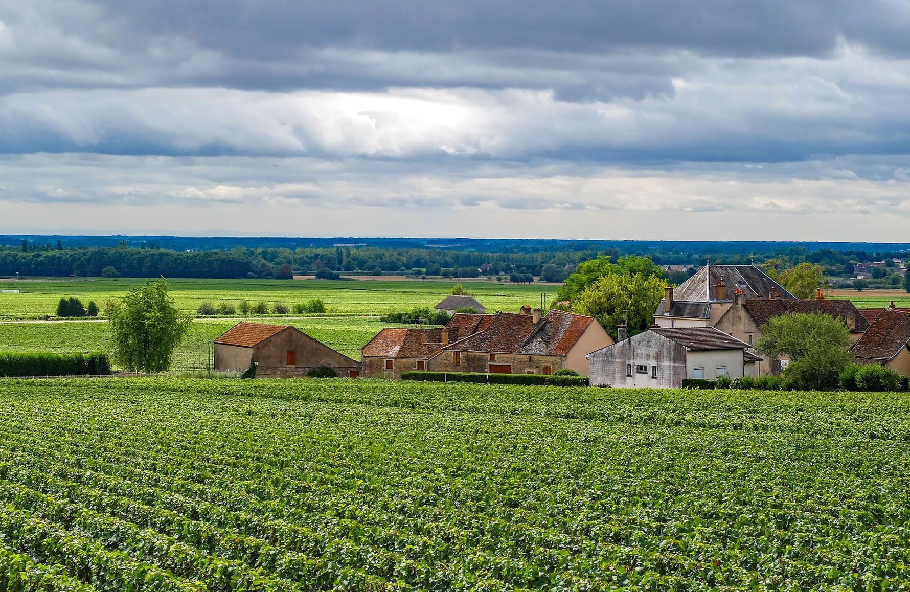 la storia di Domaine Joseph Roty
