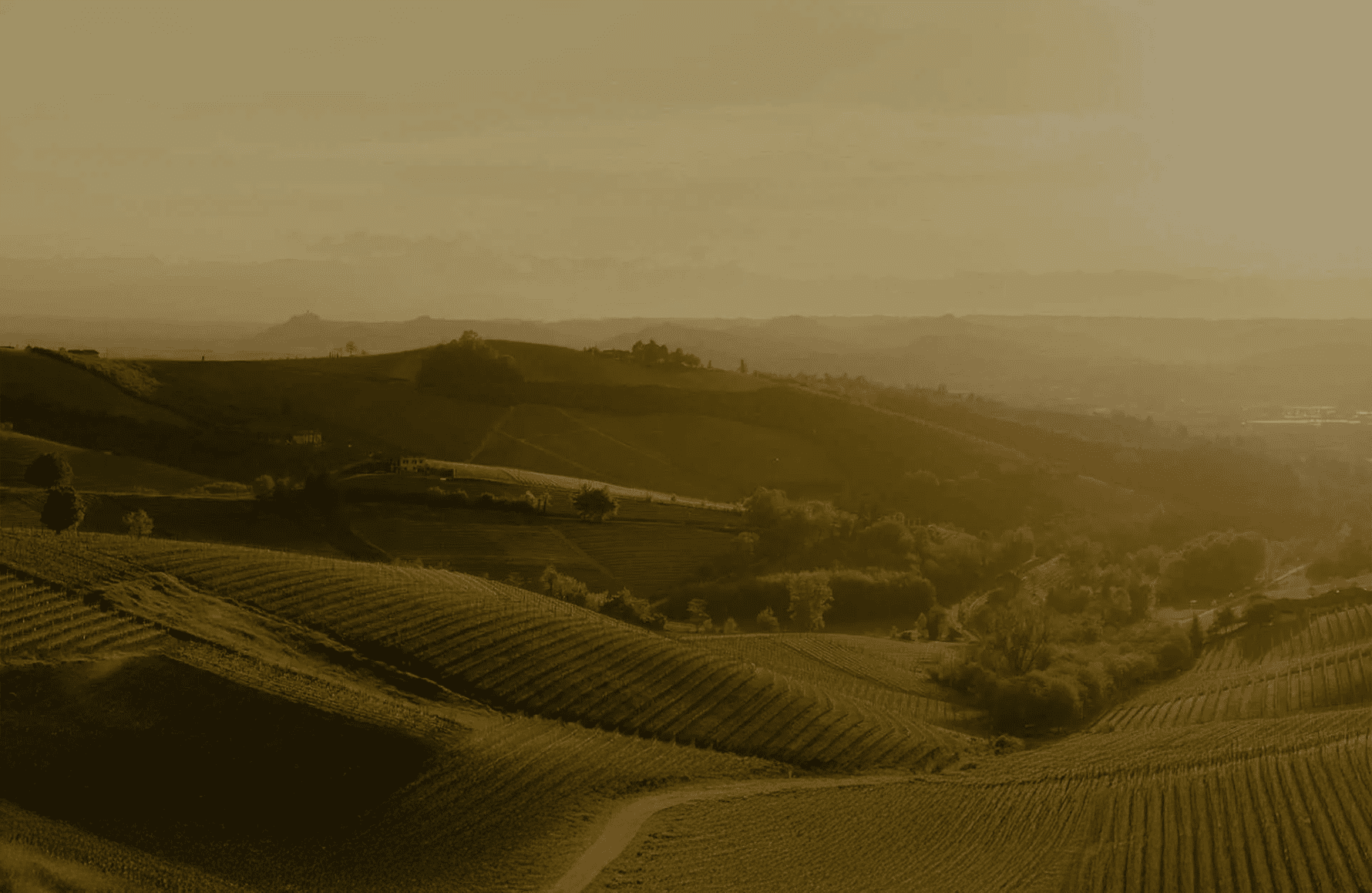 la storia di Cascina delle Rose - Italia