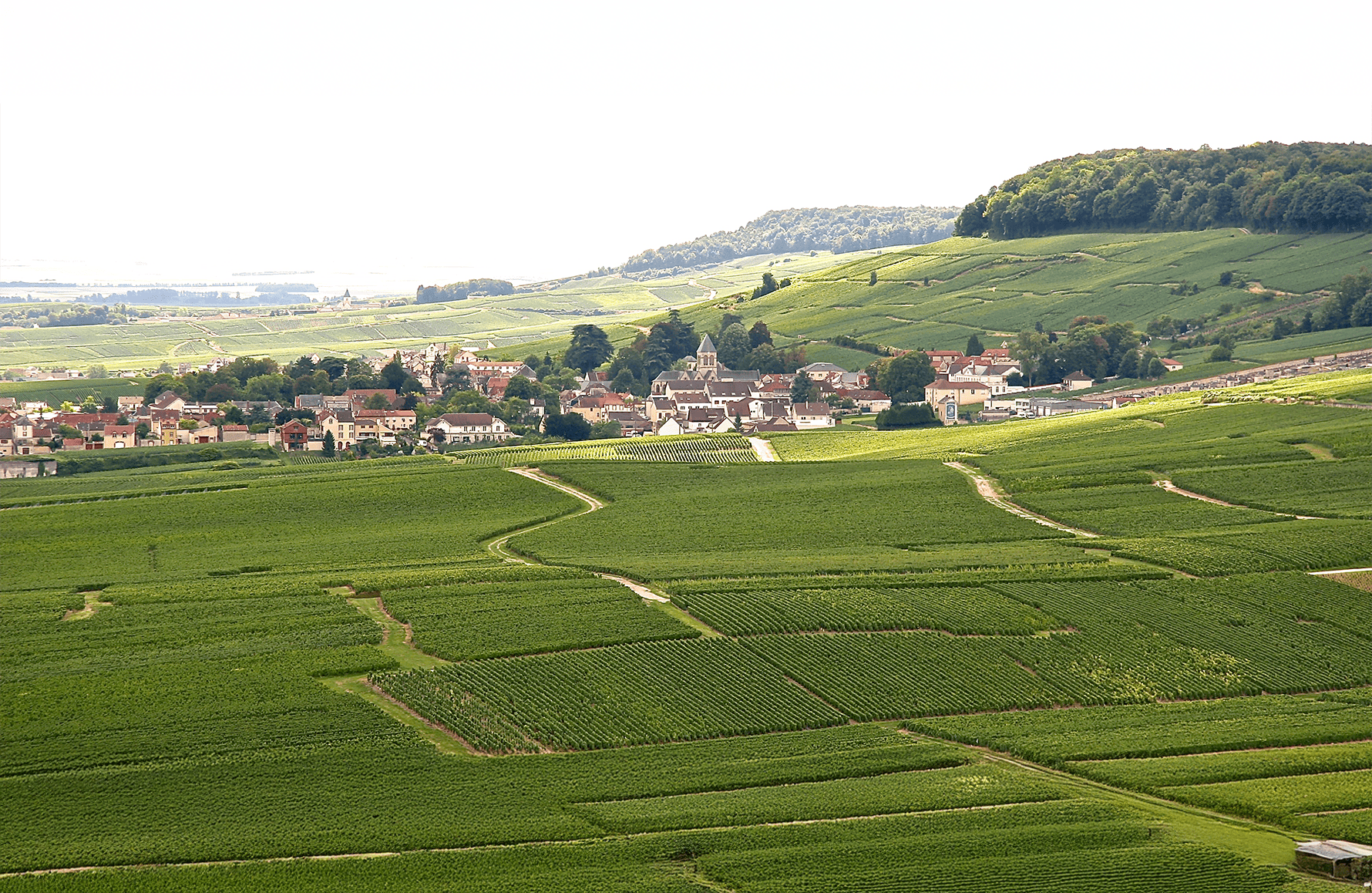 la storia di Champagne De Sousa