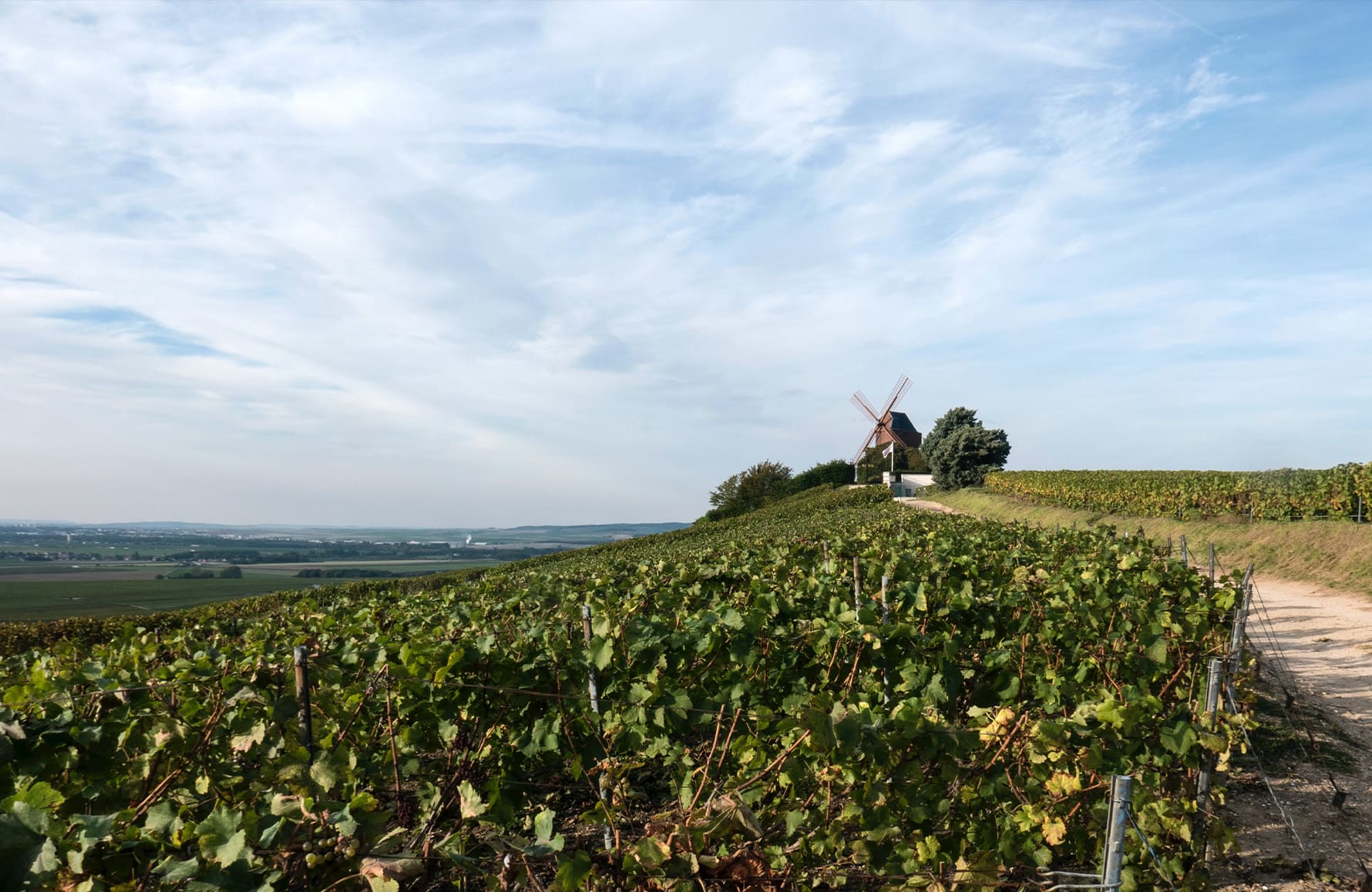 la storia di Champagne Maria Courtin