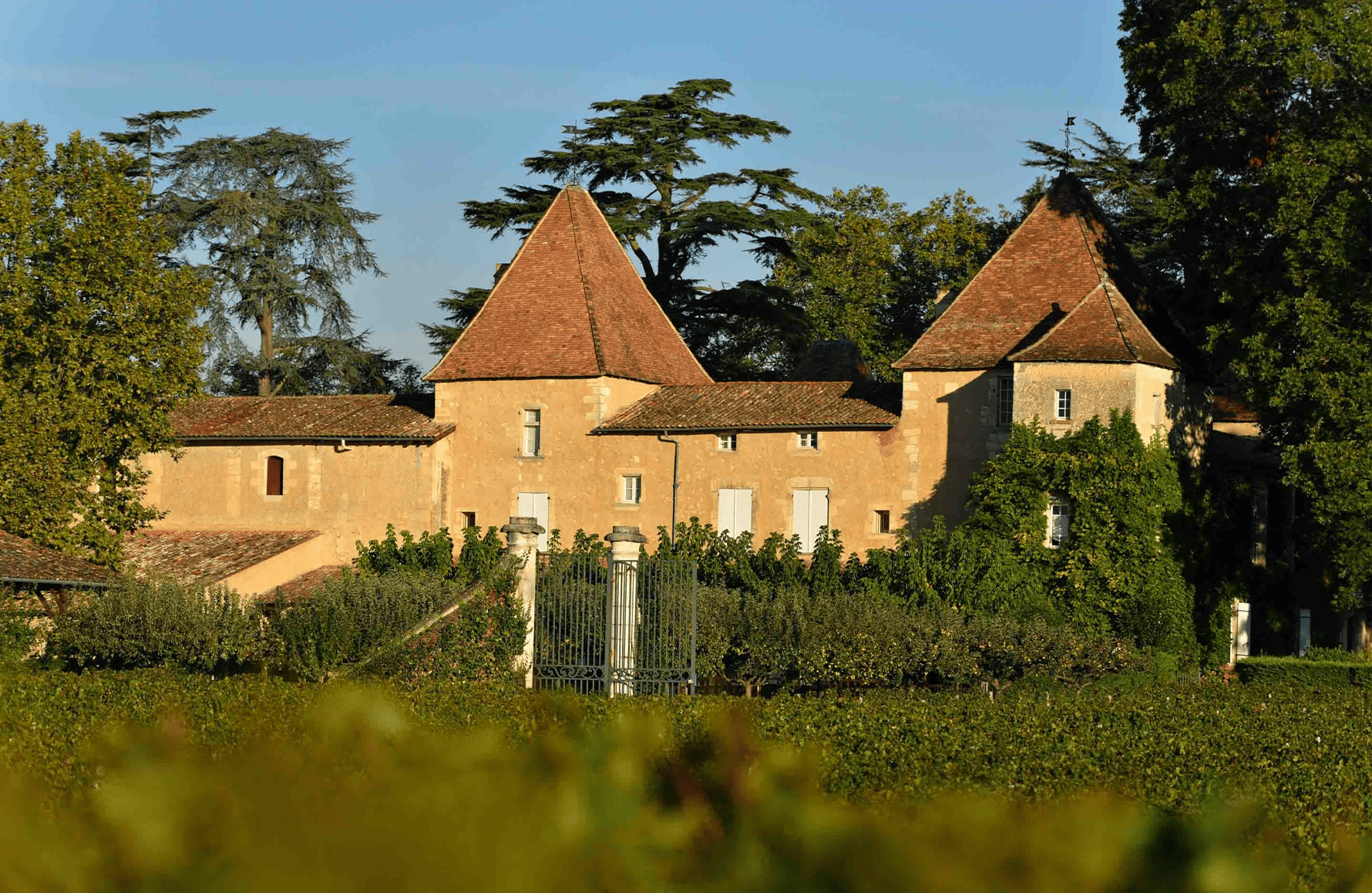 la storia di Château Carbonnieux