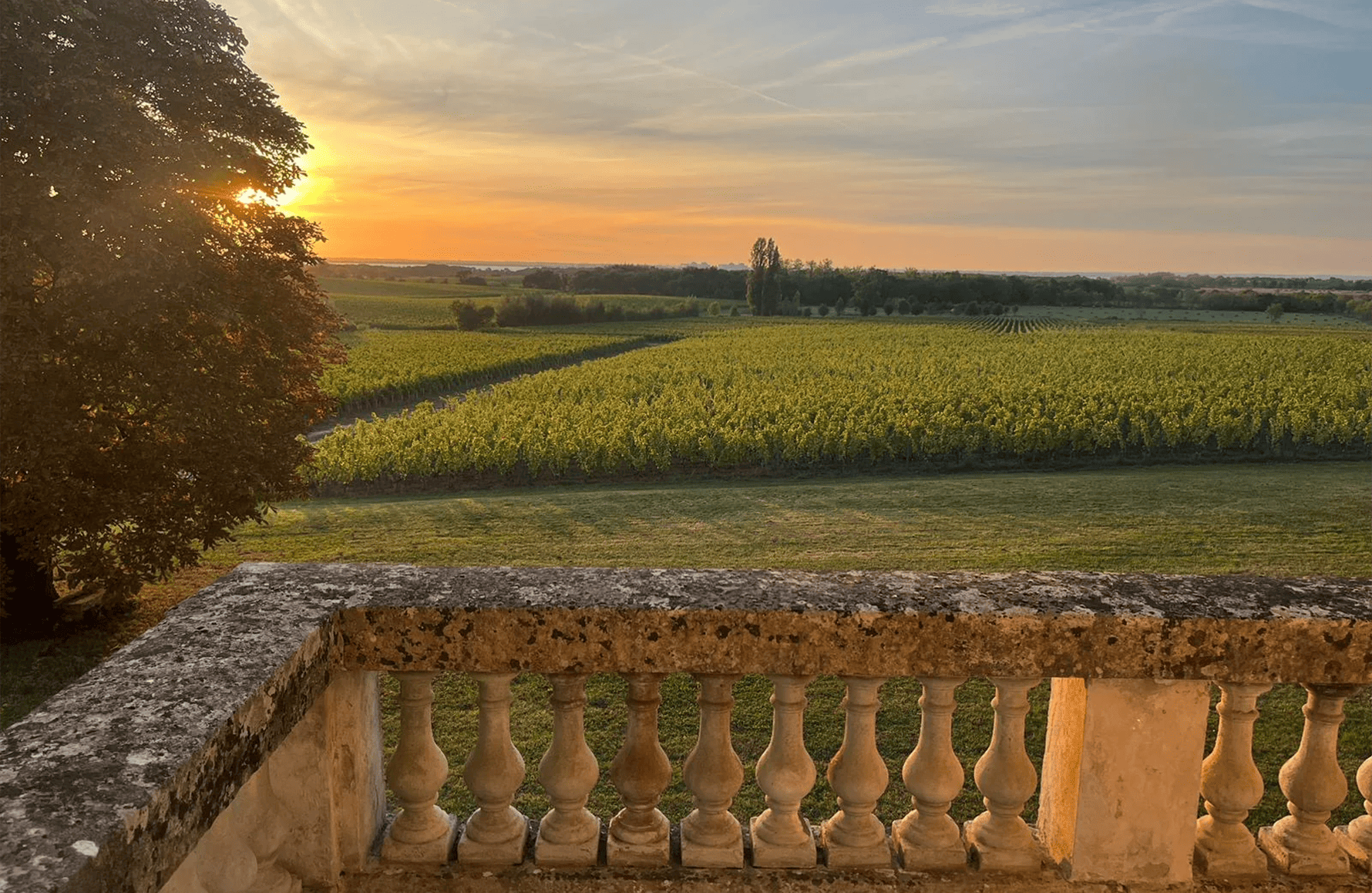la storia di Château Charmail