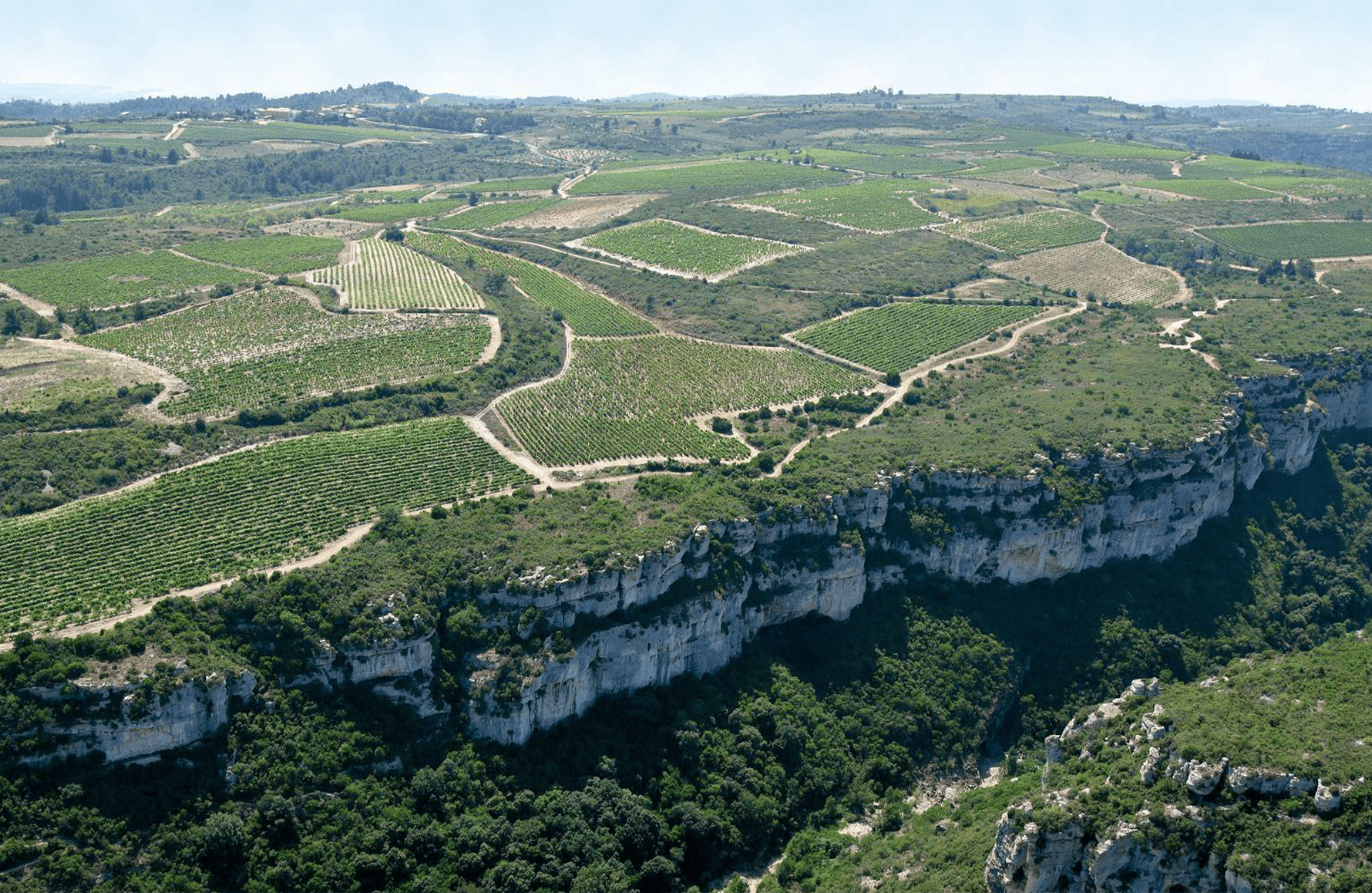 la storia di Château Tagliatori di rose
