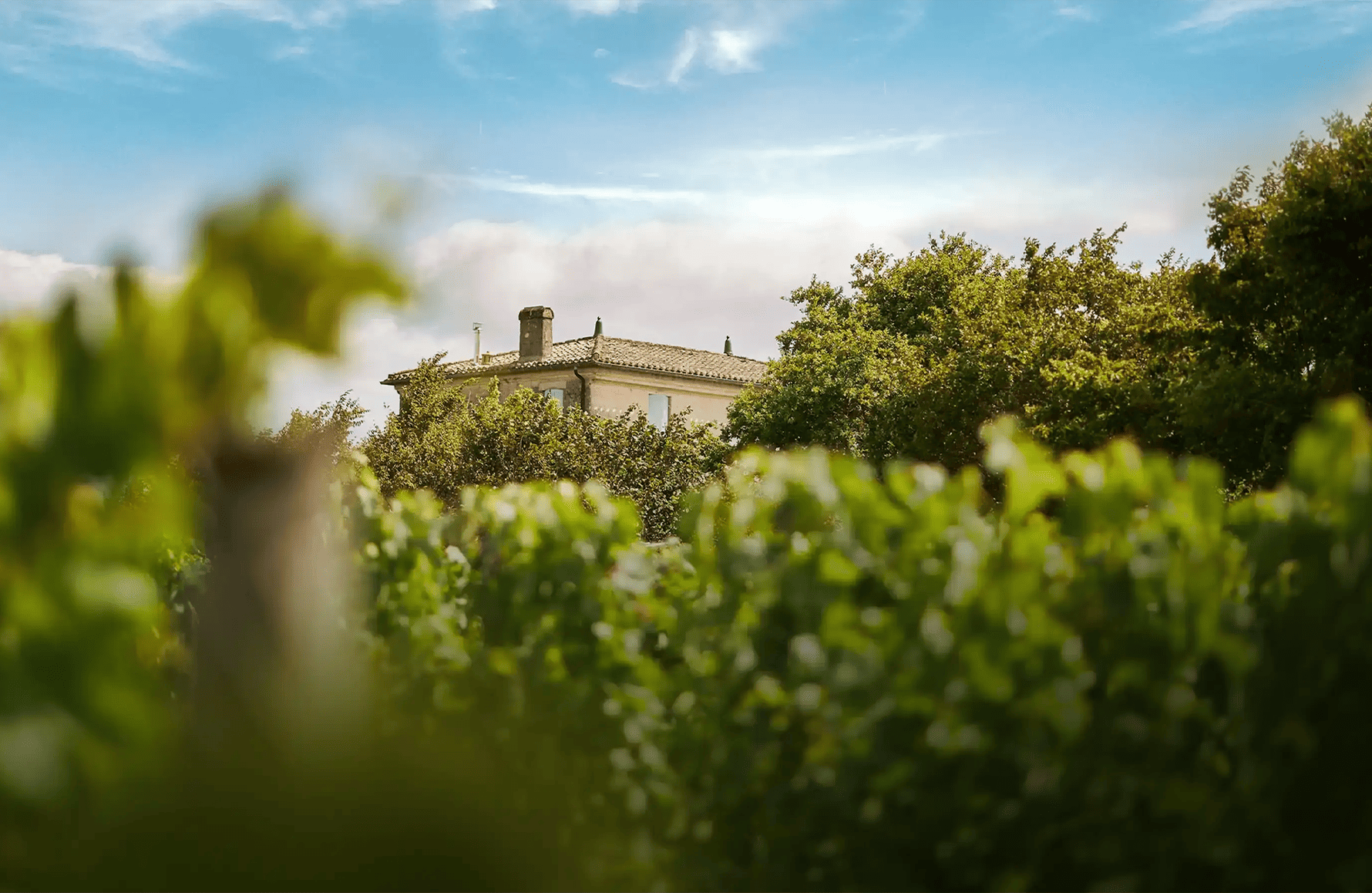 la storia di Château di Fonbel