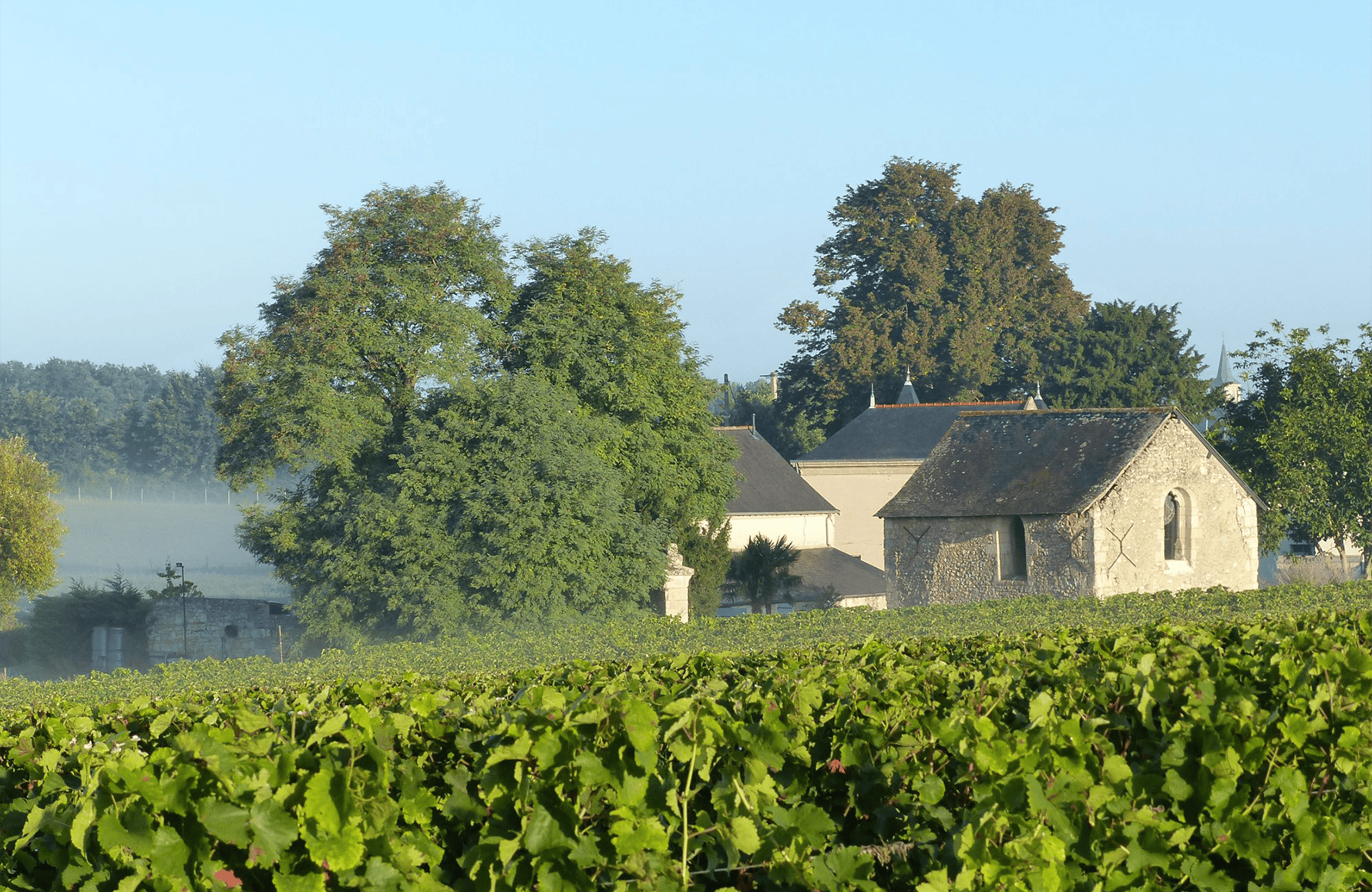 la storia di Château de Fosse-Sèche