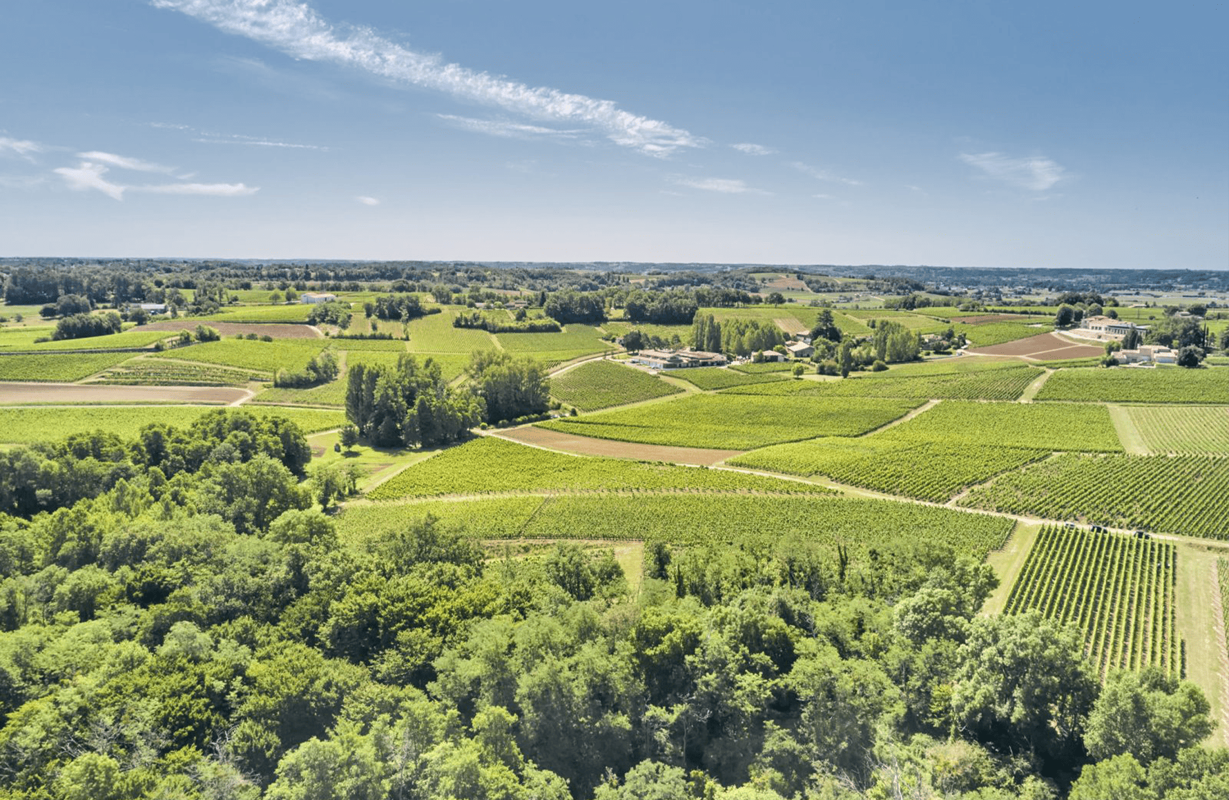 la storia di Château Fleur Cardinale