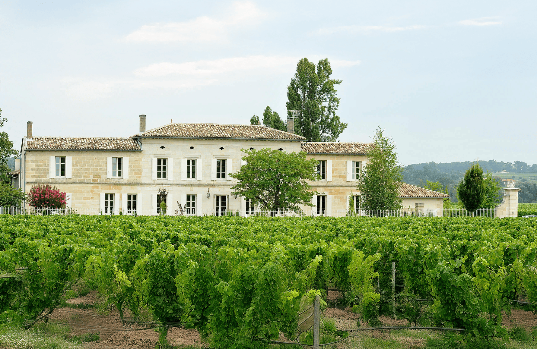 la storia di Château Grand Corbin-Despagne