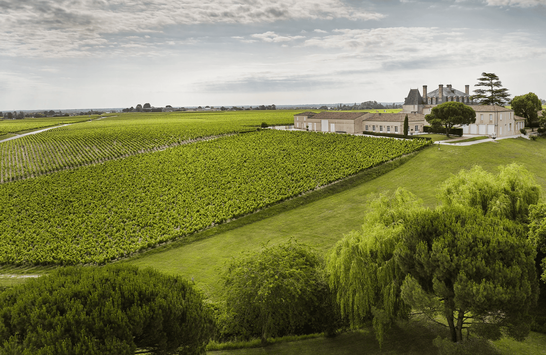 la storia di Château Grand-Puy-Lacoste