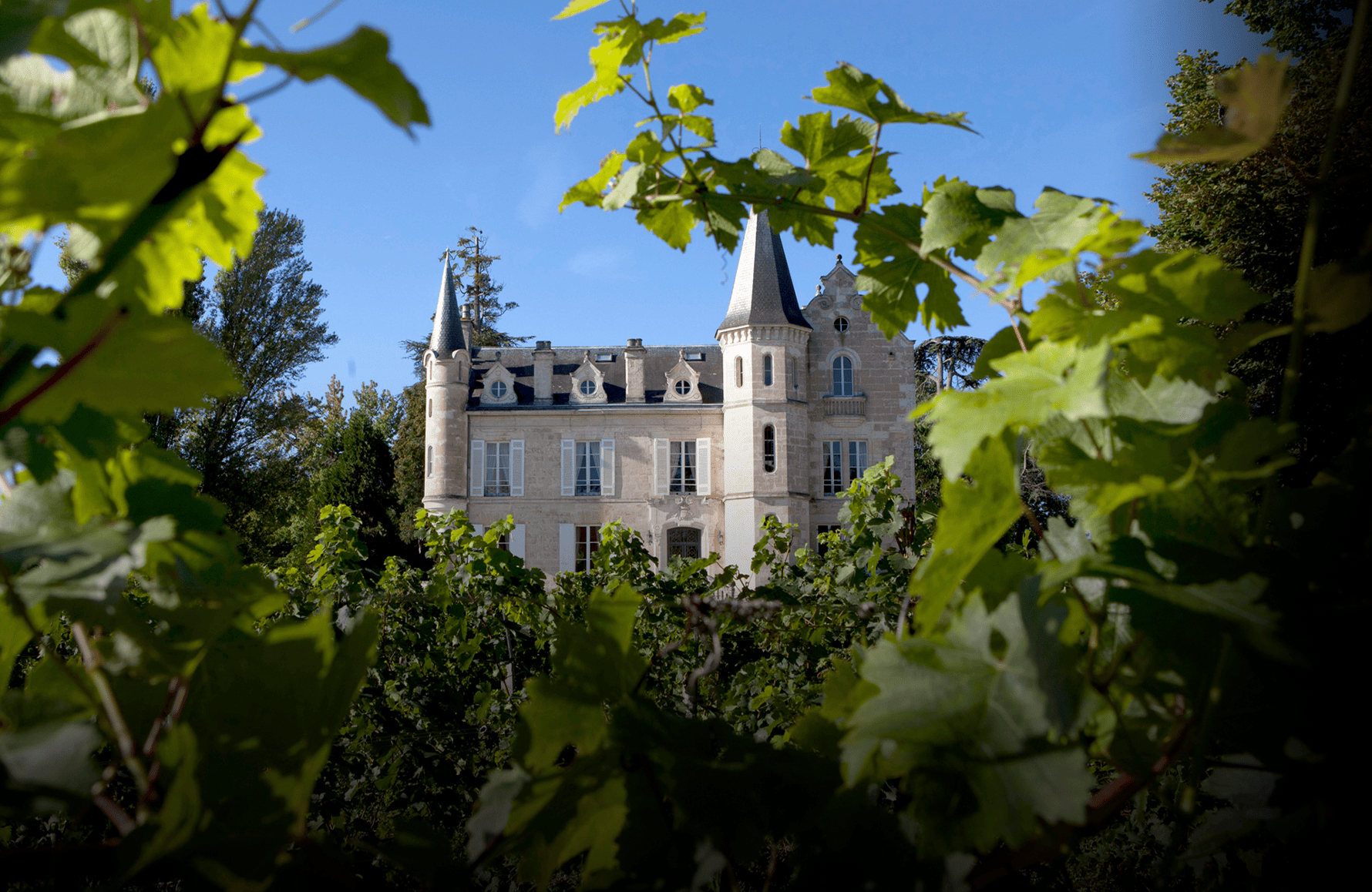 la storia di Château Haut-Bergey