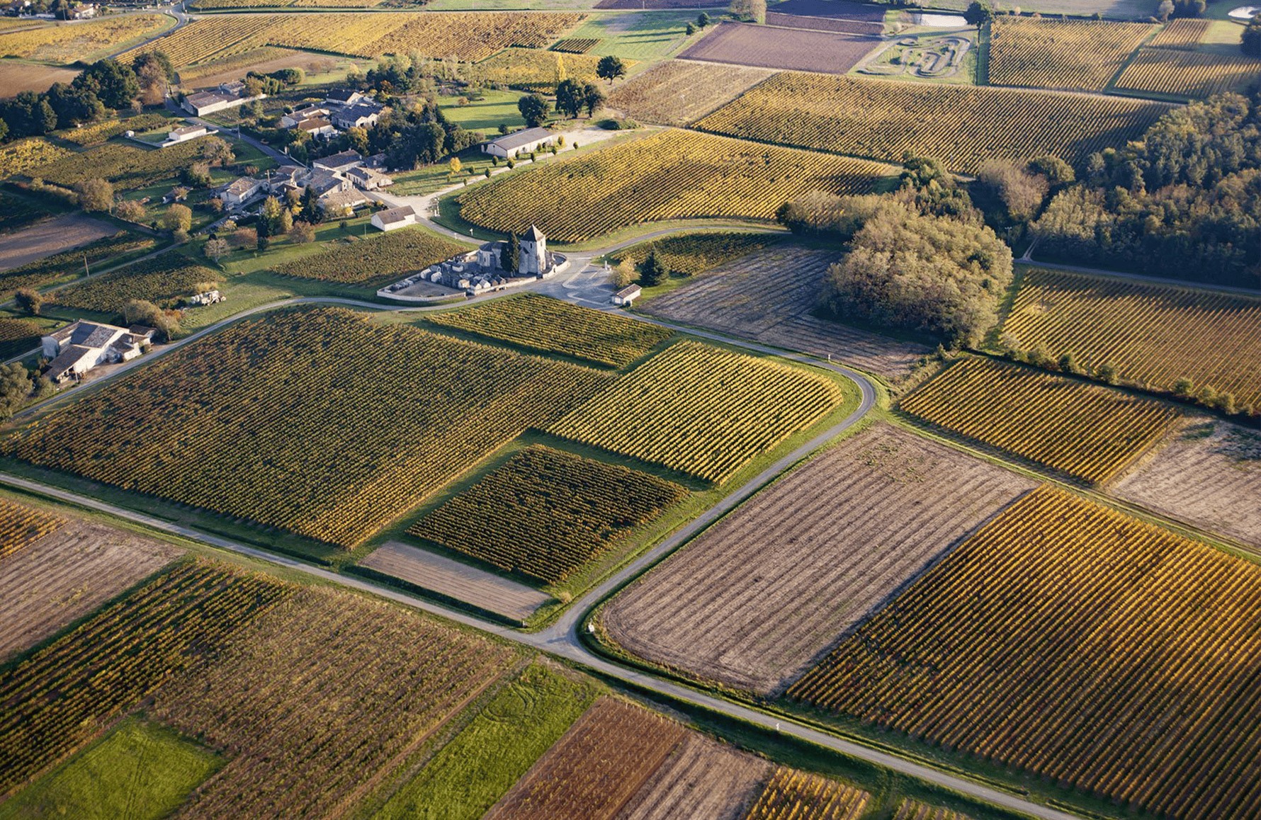 la storia di Château Joanin Bécot
