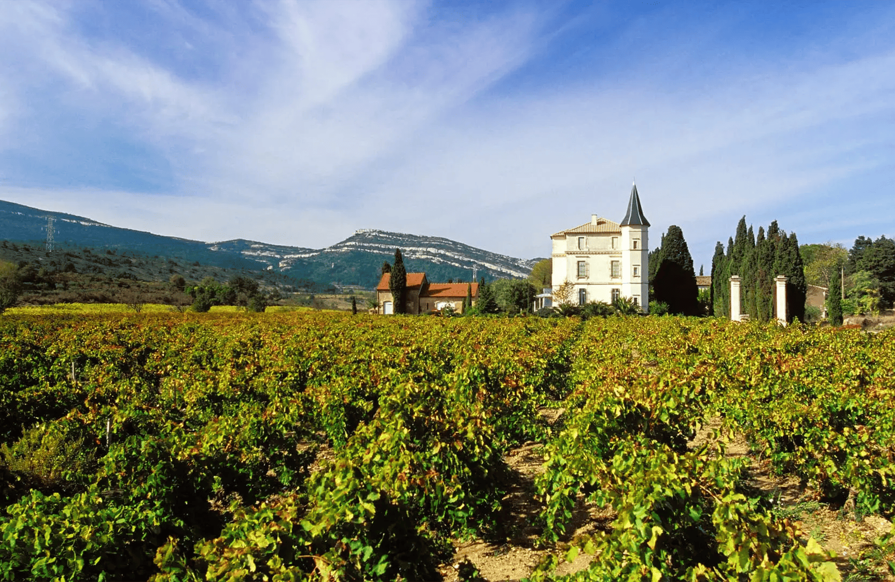la storia di La Baronne