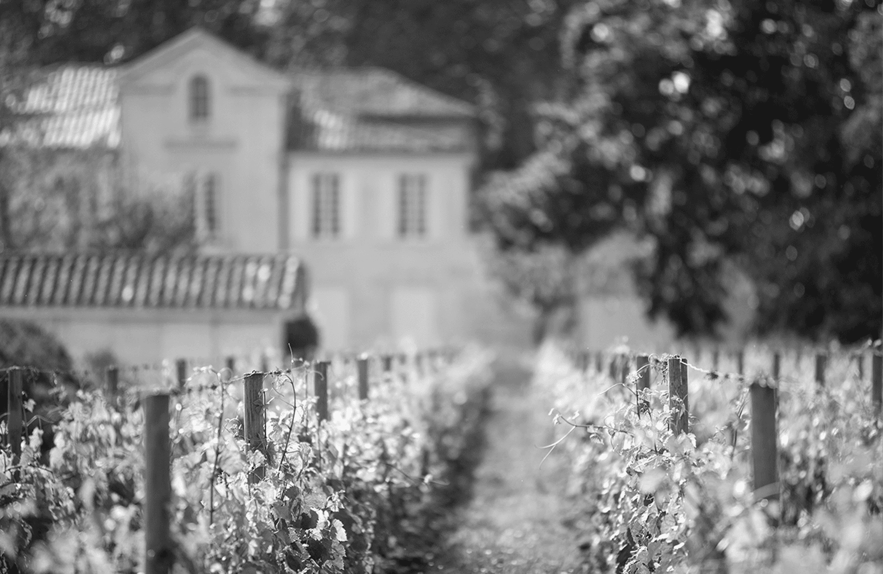 la storia di Château Il punto