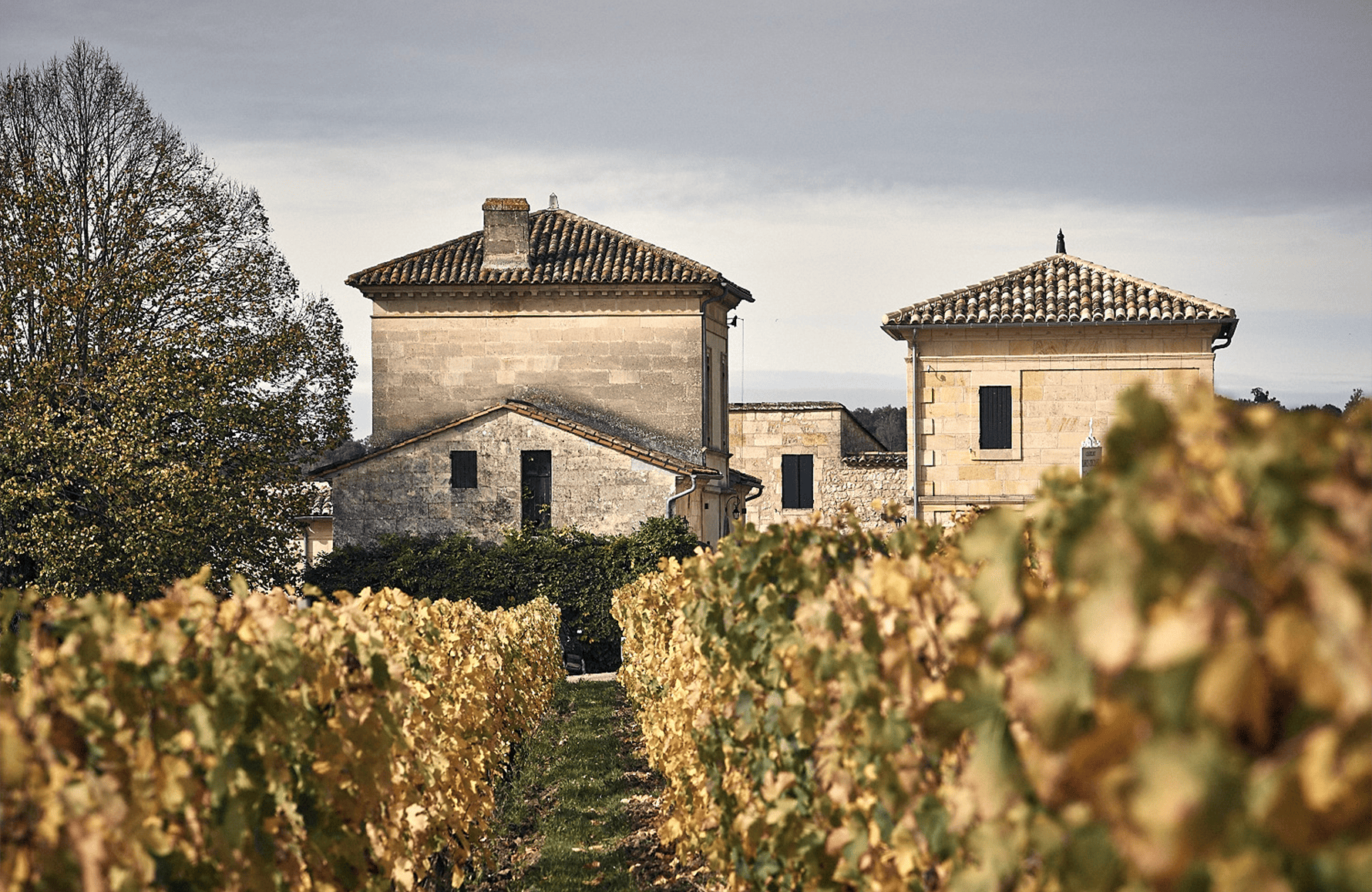 la storia di Château Larcis Ducasse