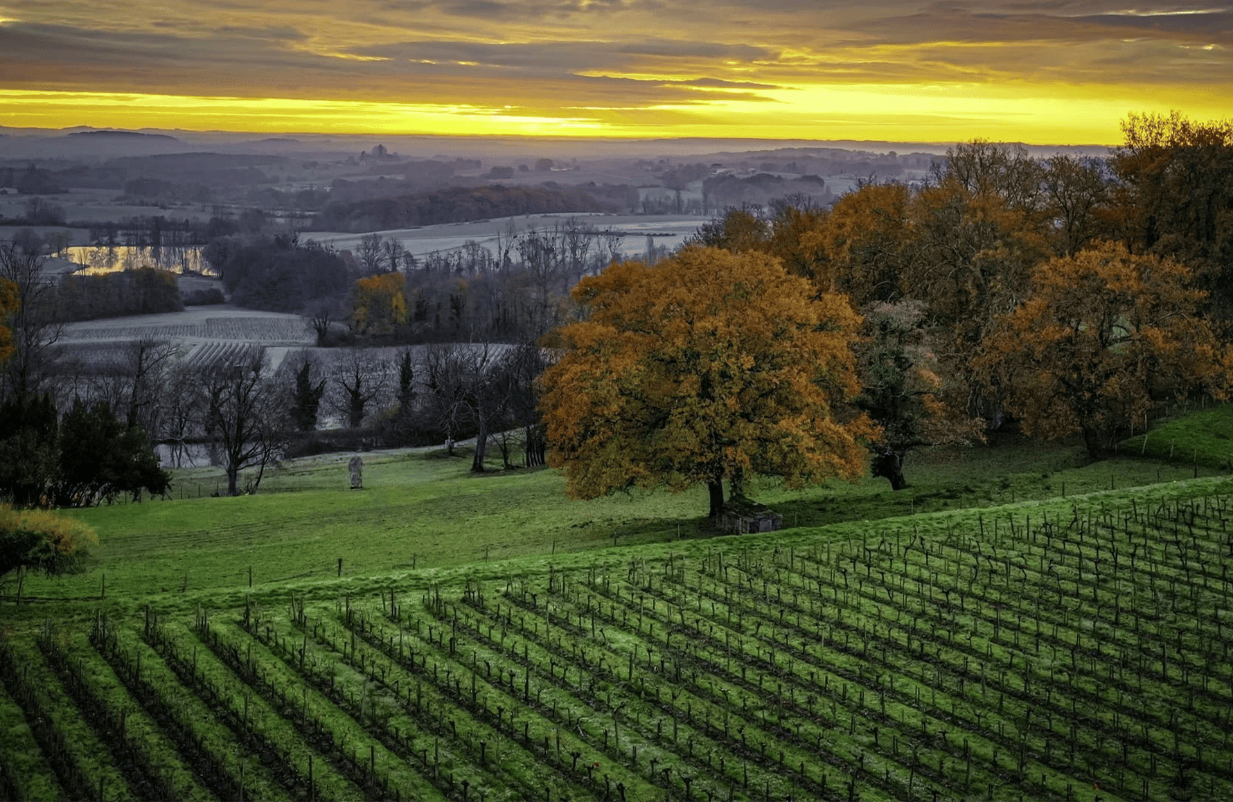 la storia di Château Le Puy