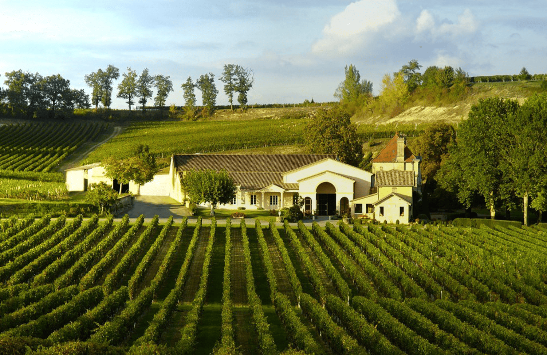 la storia di Château Mango
