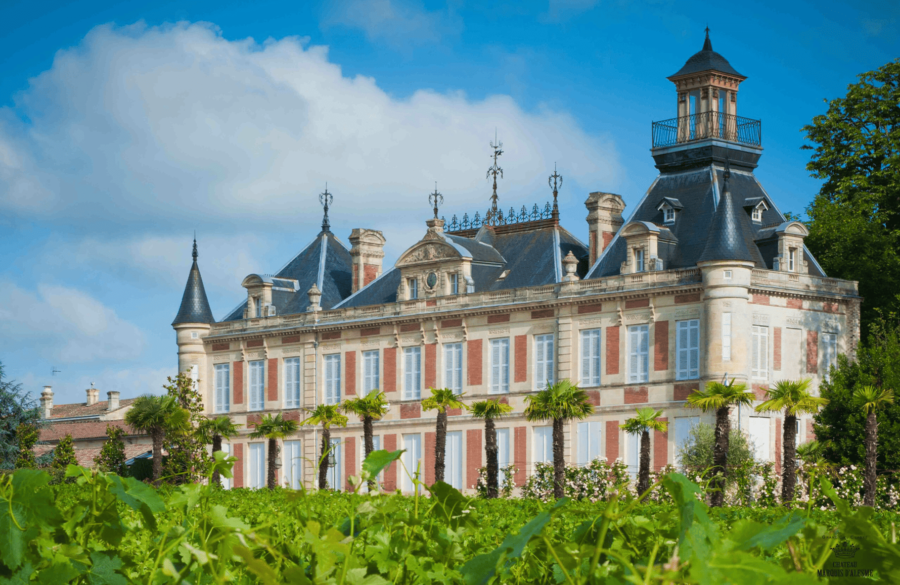 la storia di Château Marquis d'Alesme