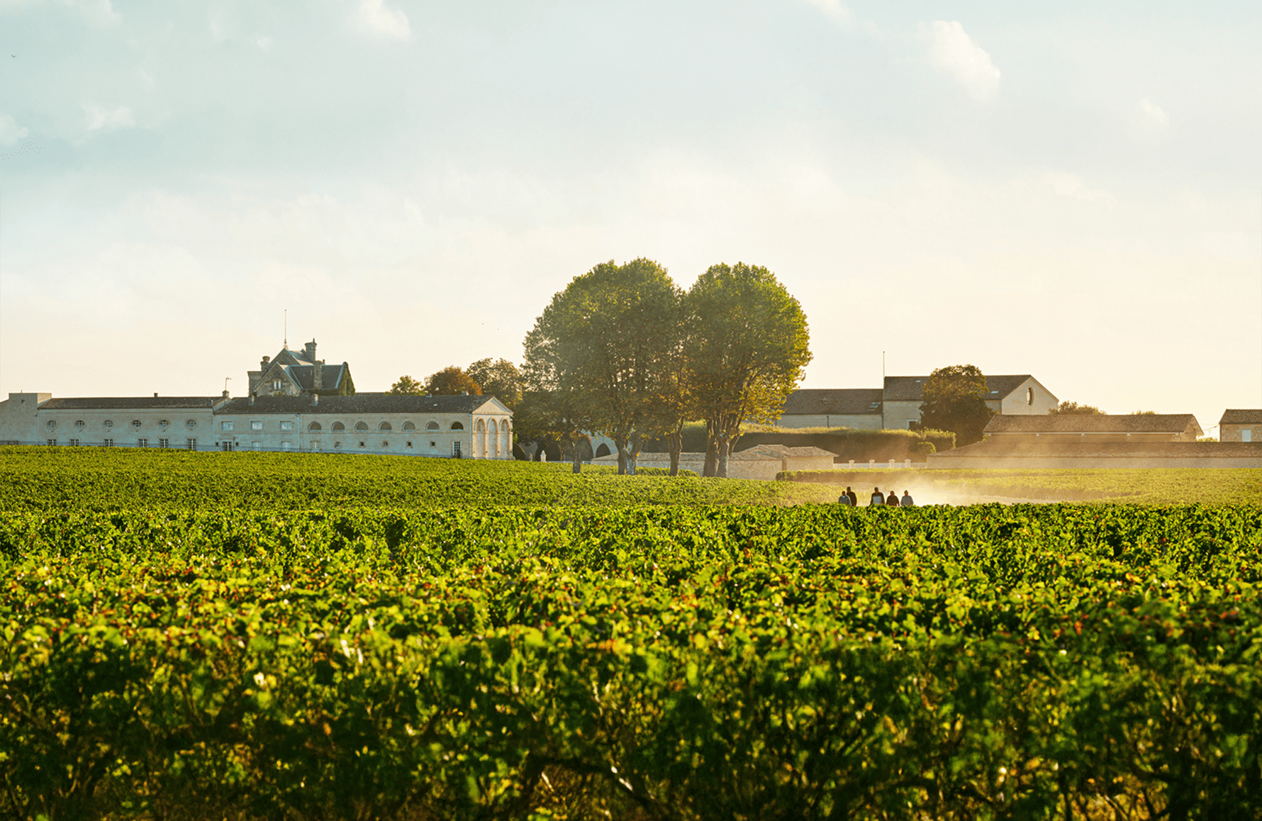 l’histoire du Château Mouton Rothschild