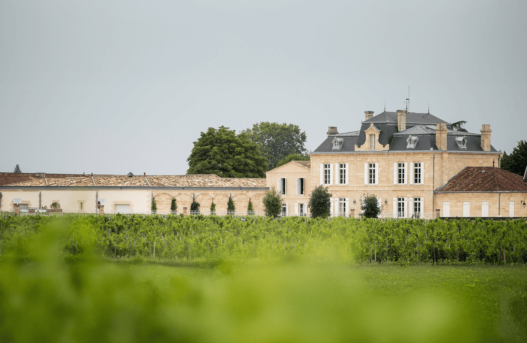 la storia di Château Nénin