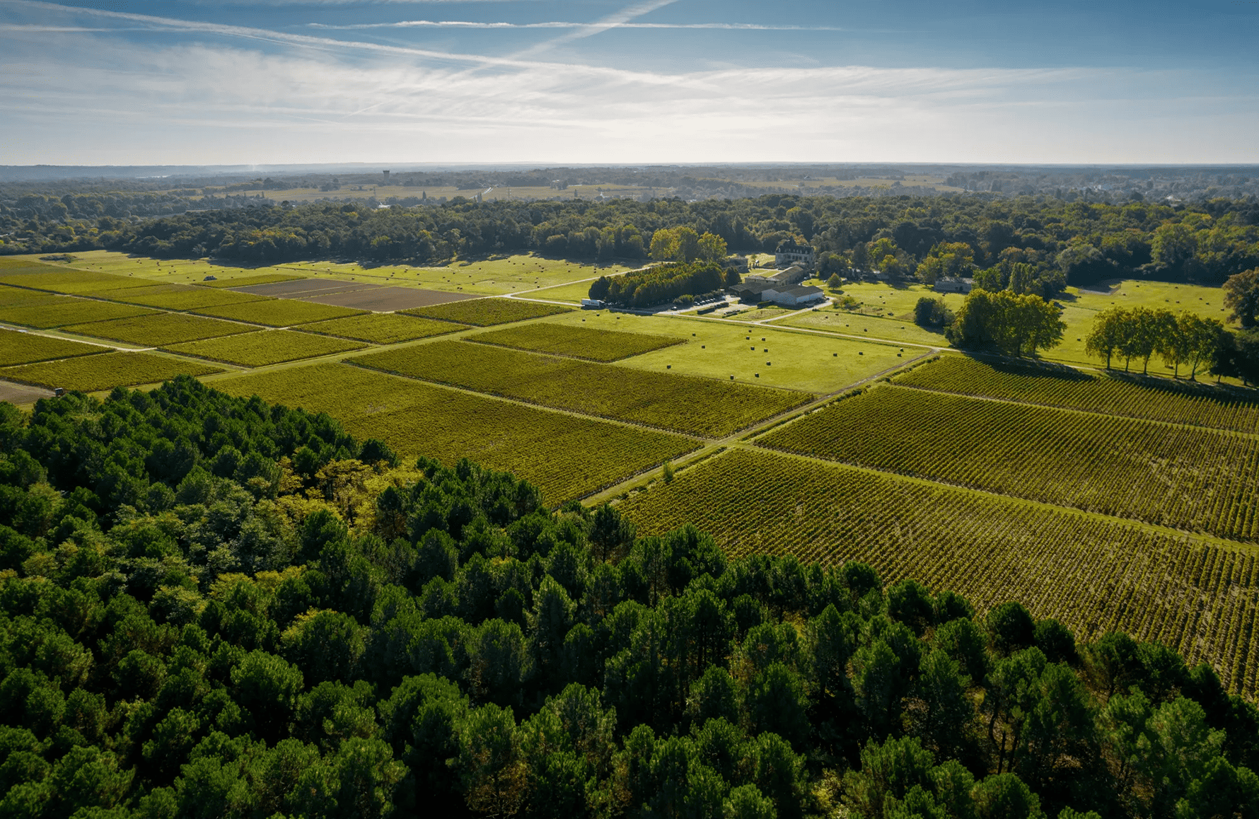 la storia di Château Olivier
