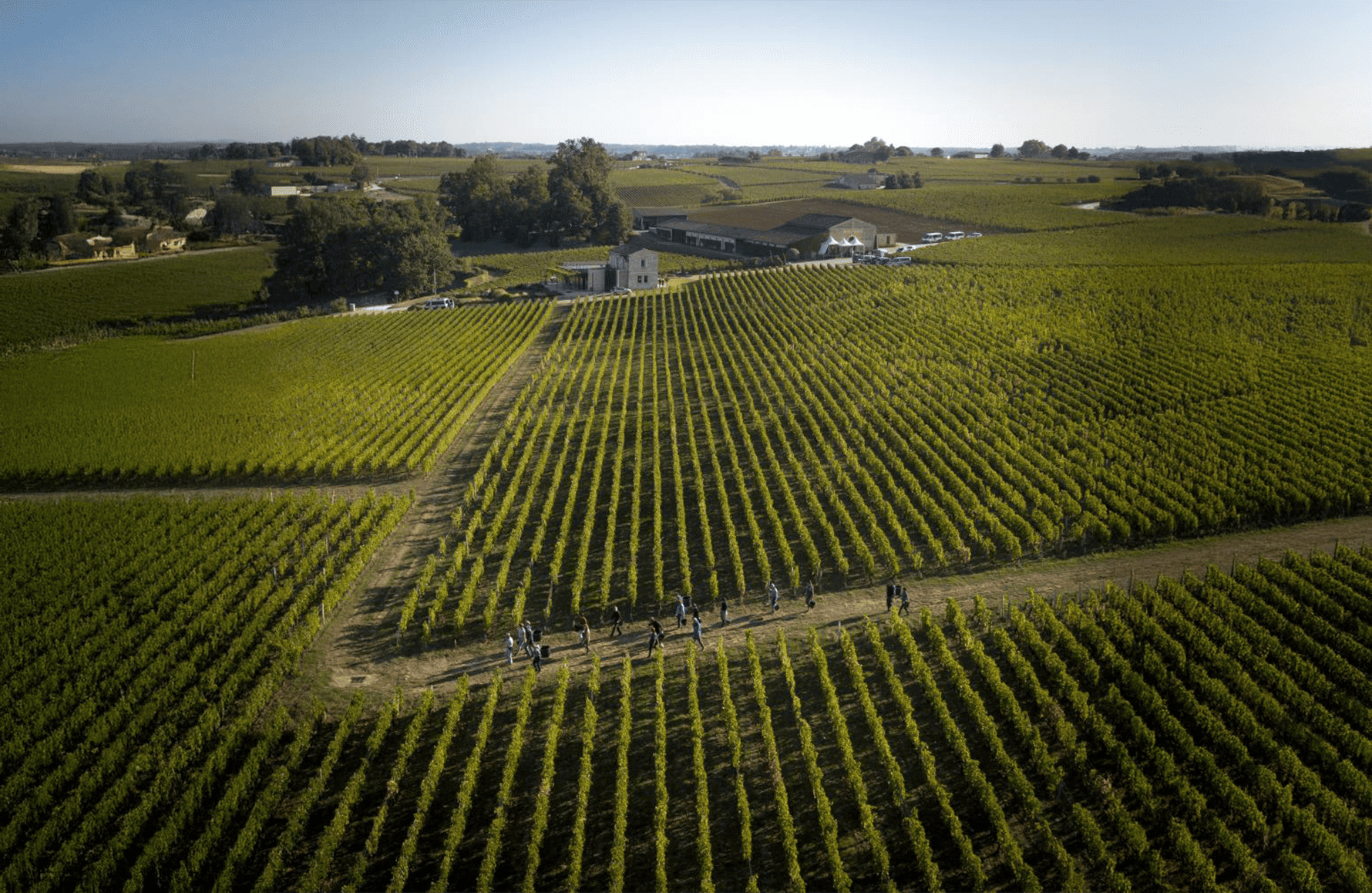 la storia di Château Pavie Macquin