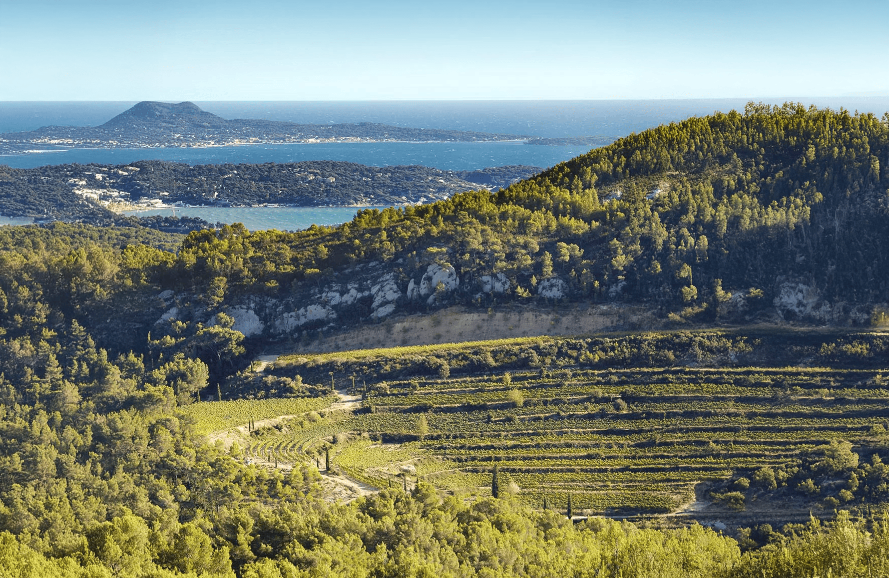 la storia di Château di Pibarnon