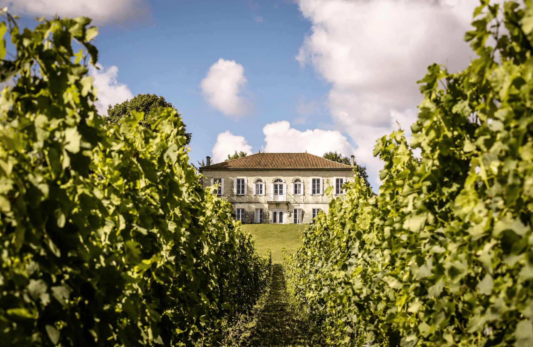 la storia di Château Reysson