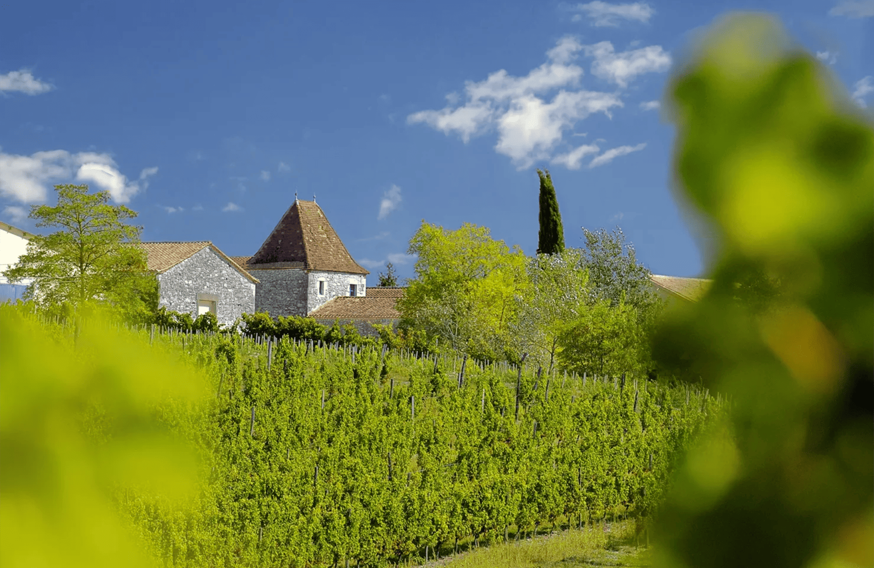 la storia di Château Tour des Gendres