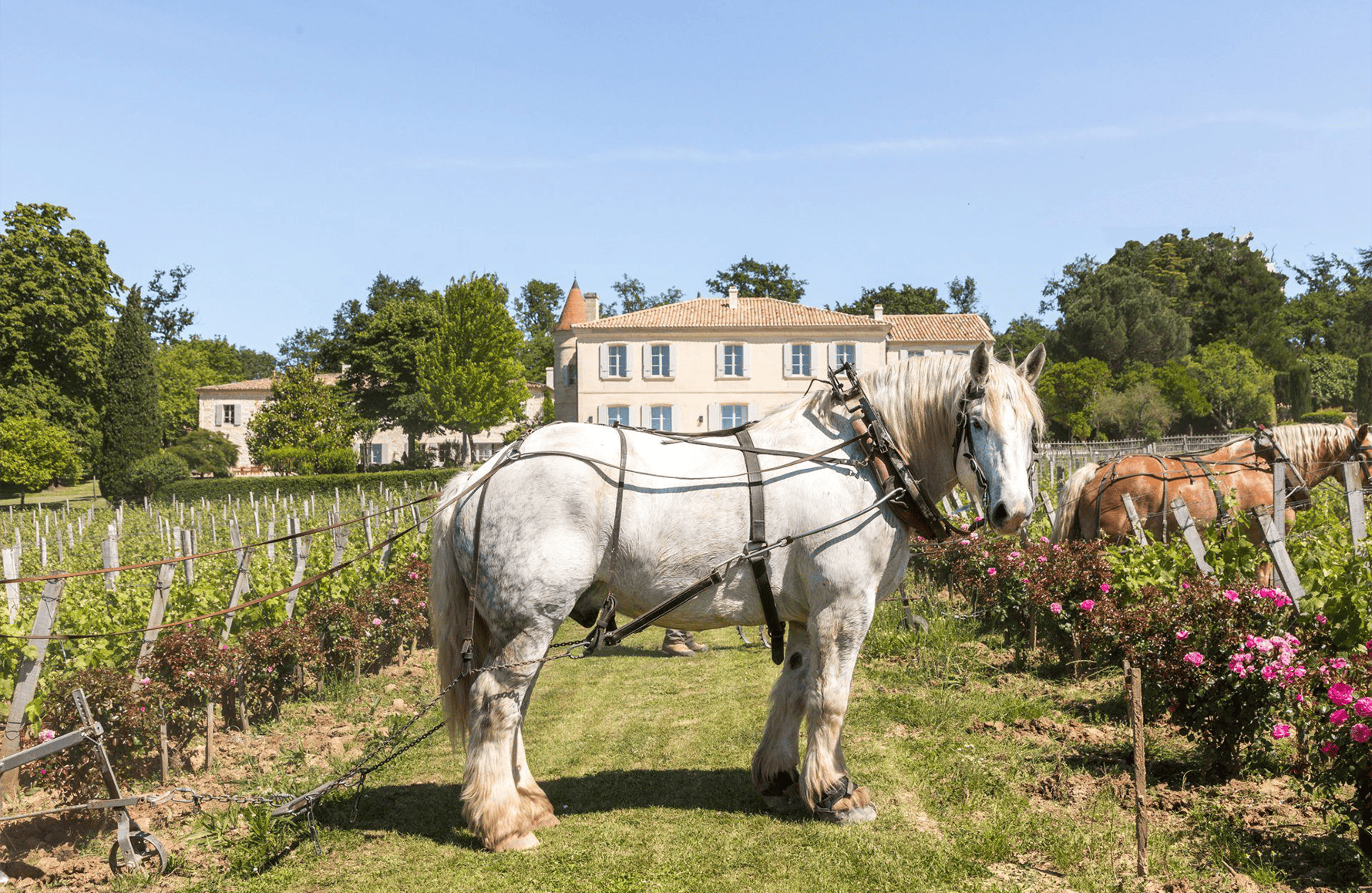 la storia di Château Troplong Mondot