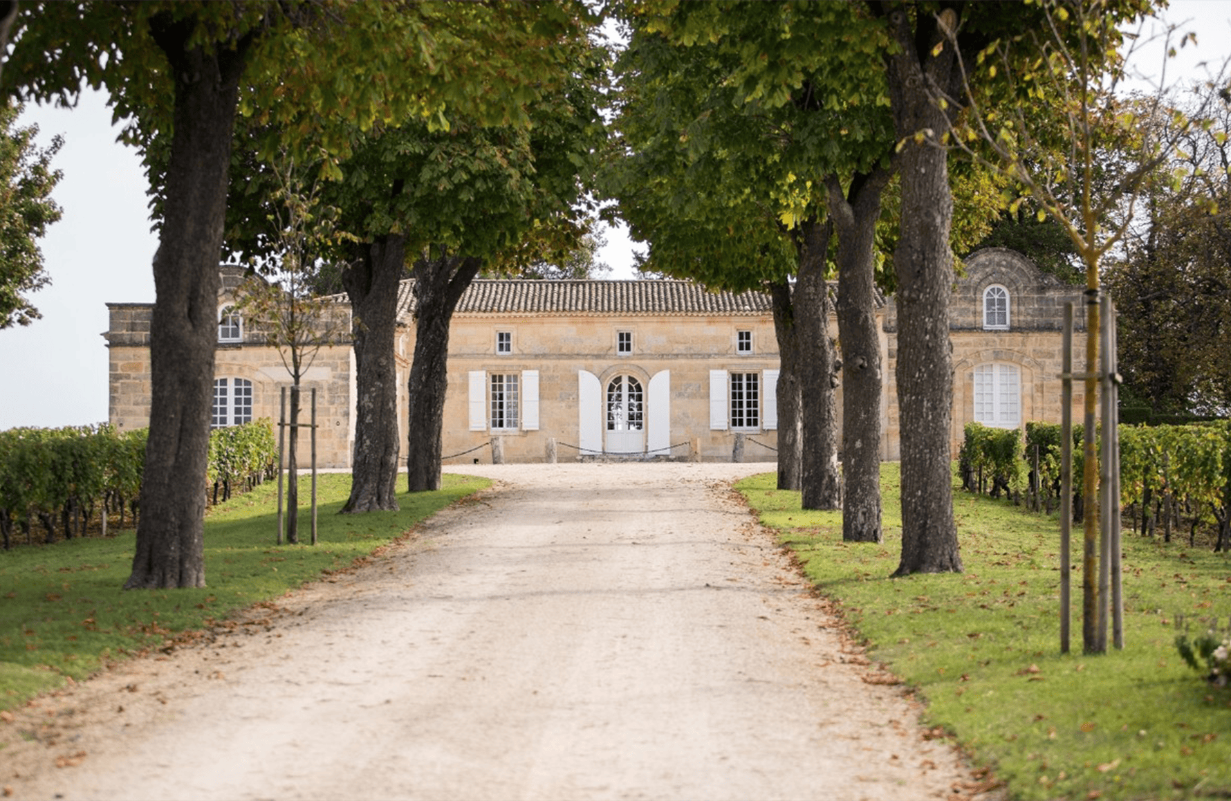 la storia di Château Vecchio Trotter