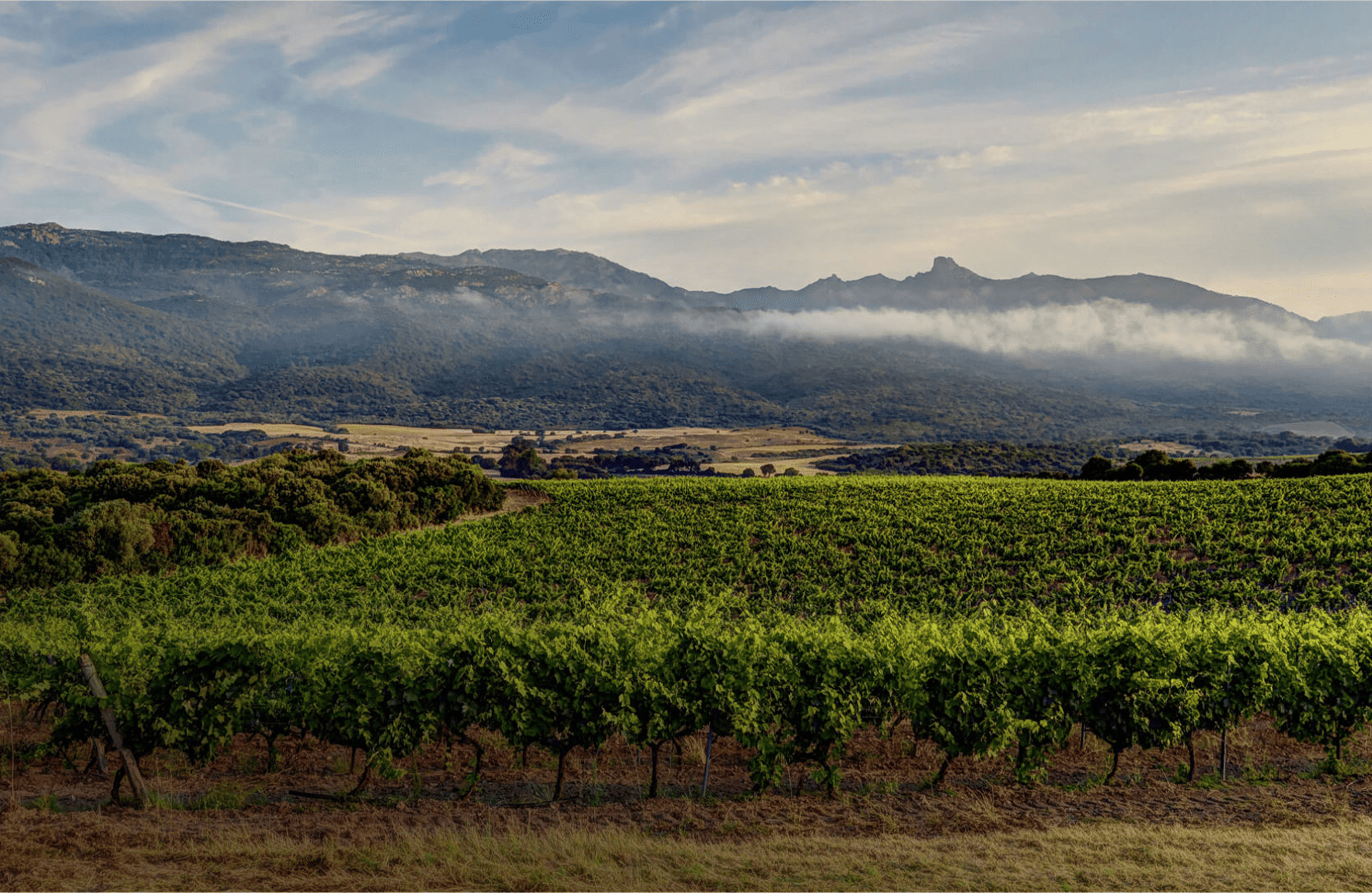 la storia di Clos Canarelli