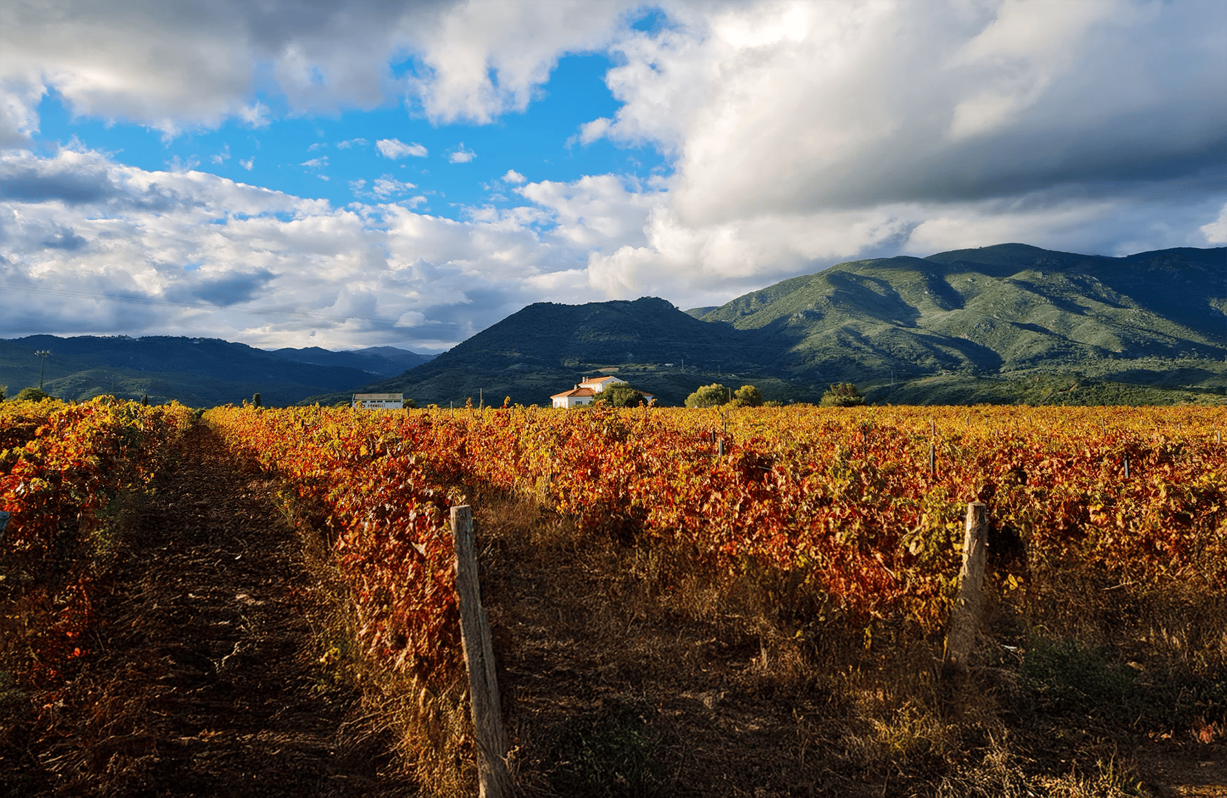 la storia di Clos Fornelli