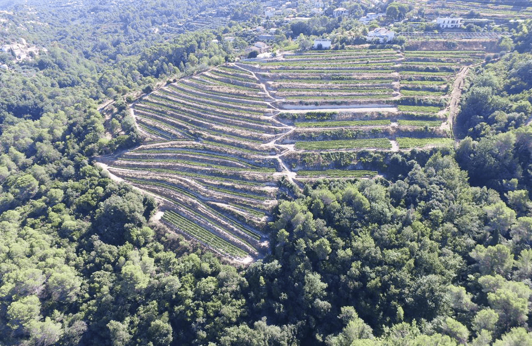 la storia di Clos San Vincenzo
