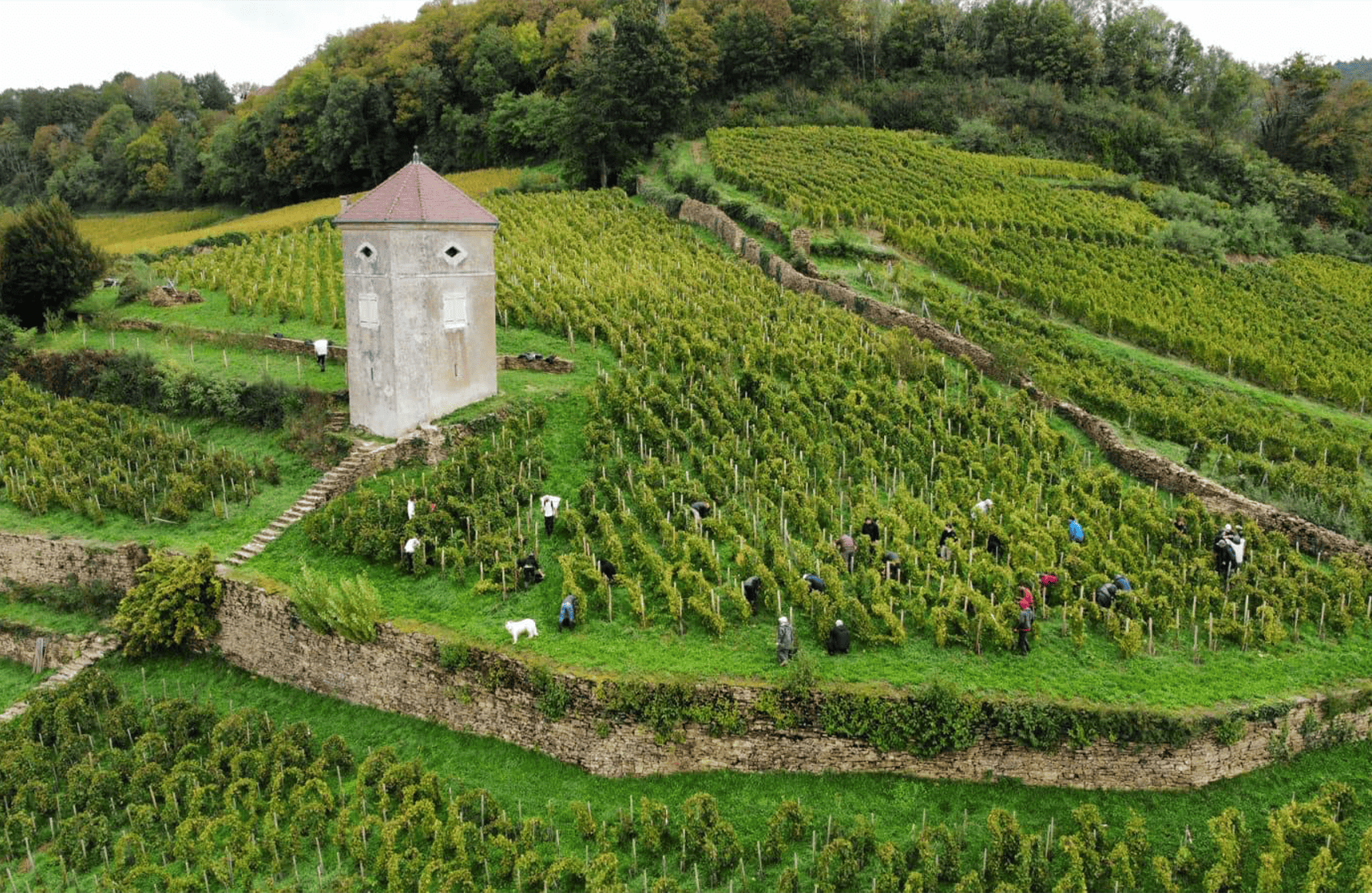 la storia di Domaine André e Mireille Tissot
