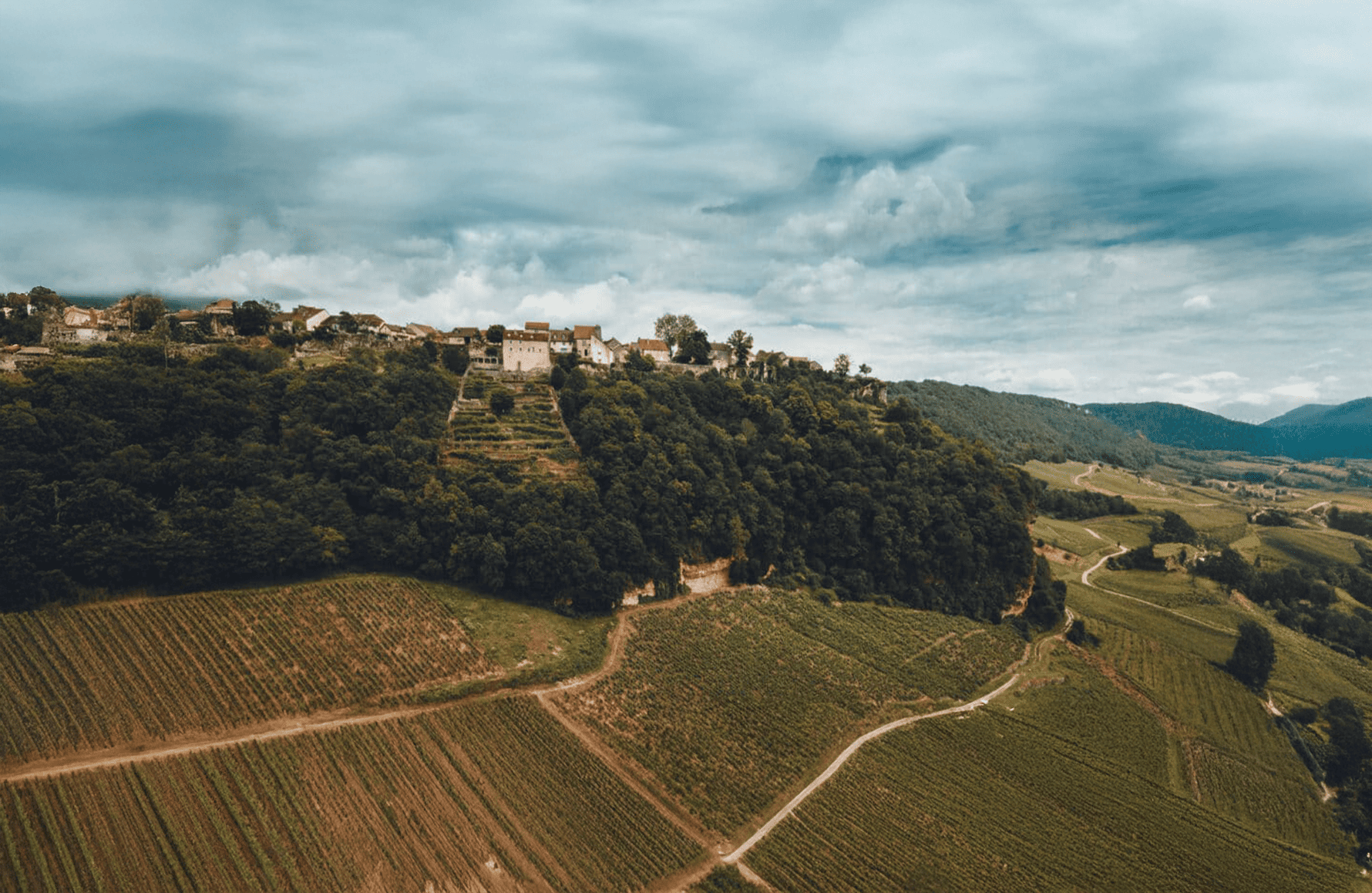 la storia di Domaine Berthet-Bondet
