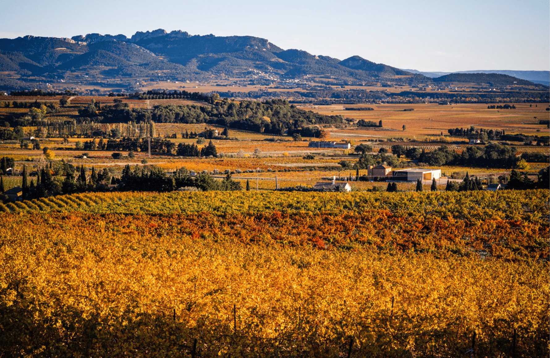 l’histoire du Domaine Boisson