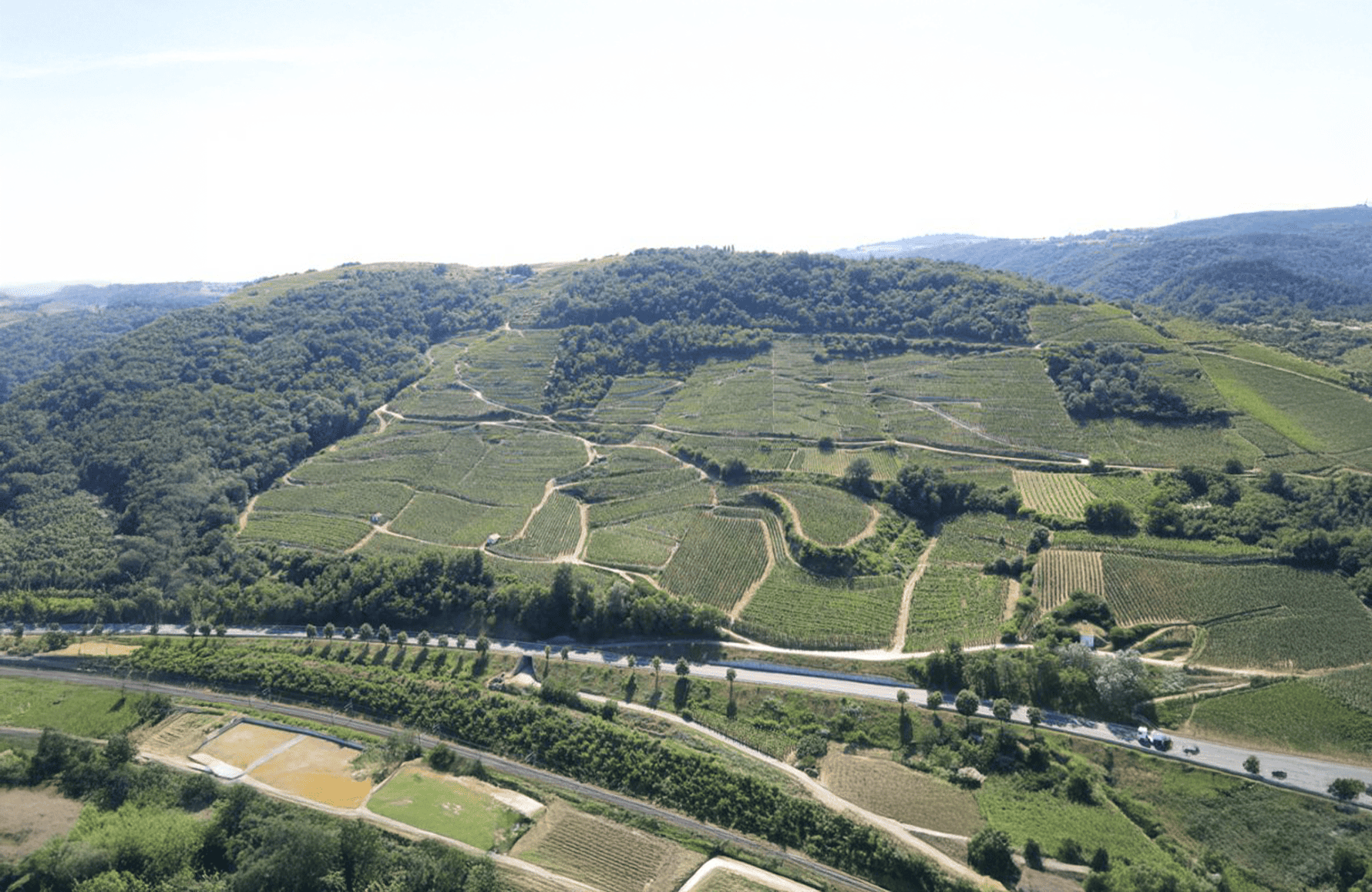 la storia di Domaine Corsodonte