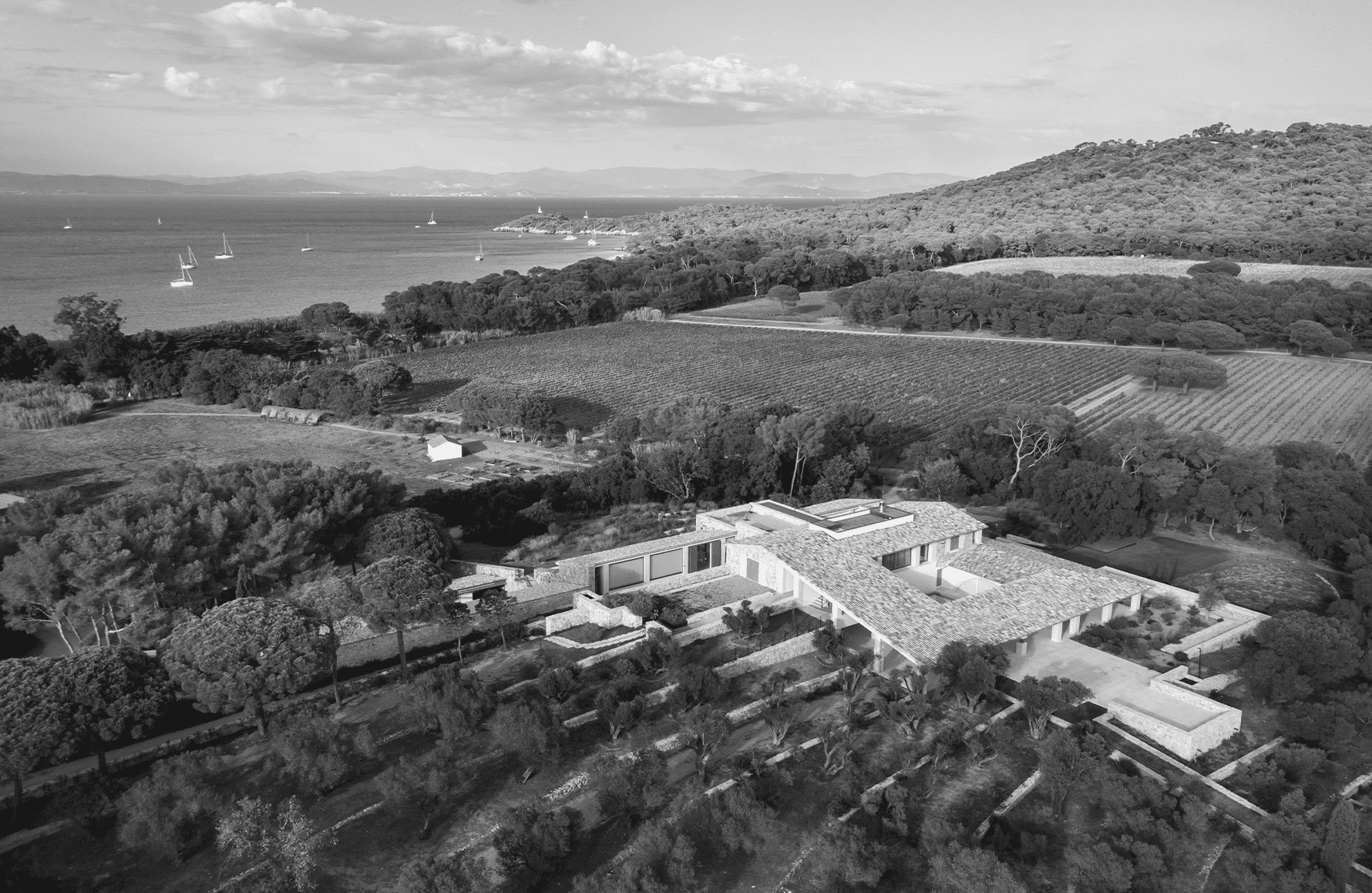 la storia di Domaine De La Courtade