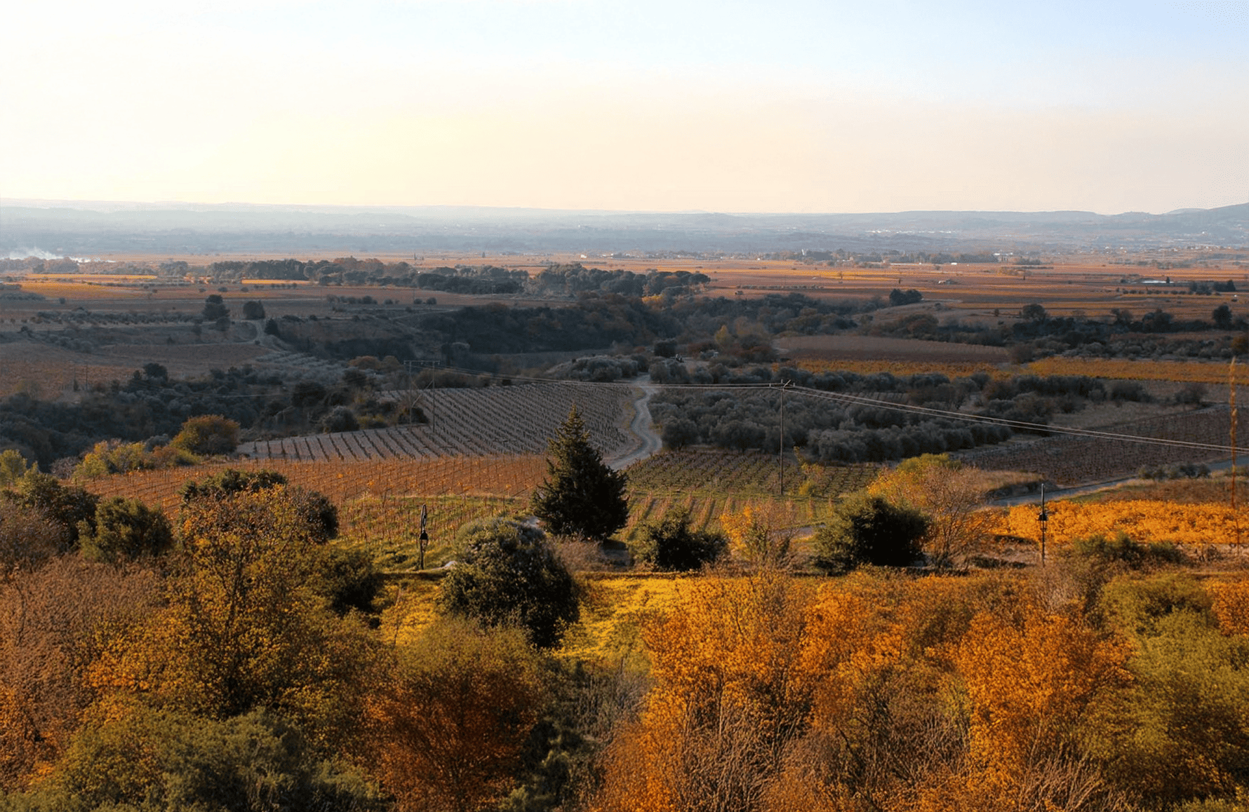 la storia di Domaine della Riserva O
